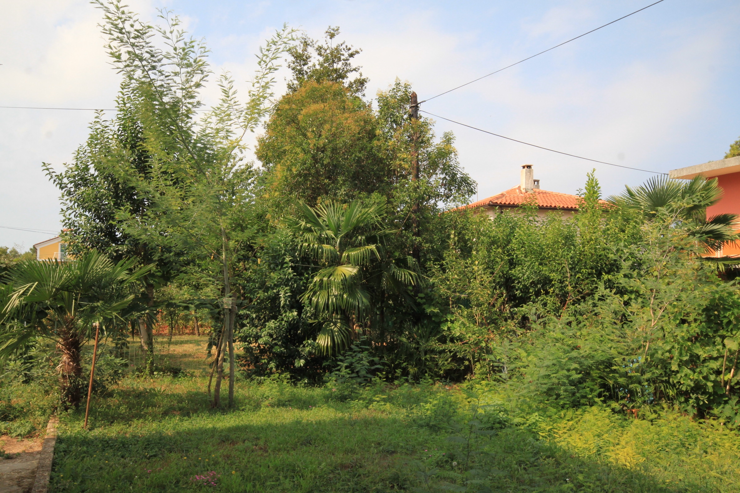 Two bedroom apartment with terrace Umag  A-b