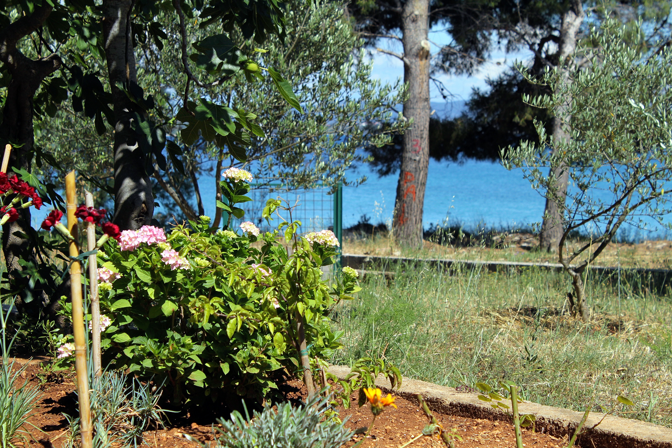 Top Pašman Tkon Top Pašman Tkon