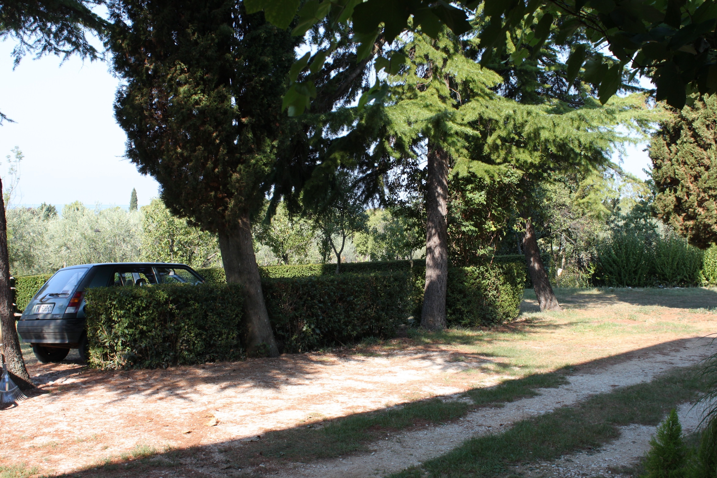 One bedroom apartment with terrace Umag  A-a