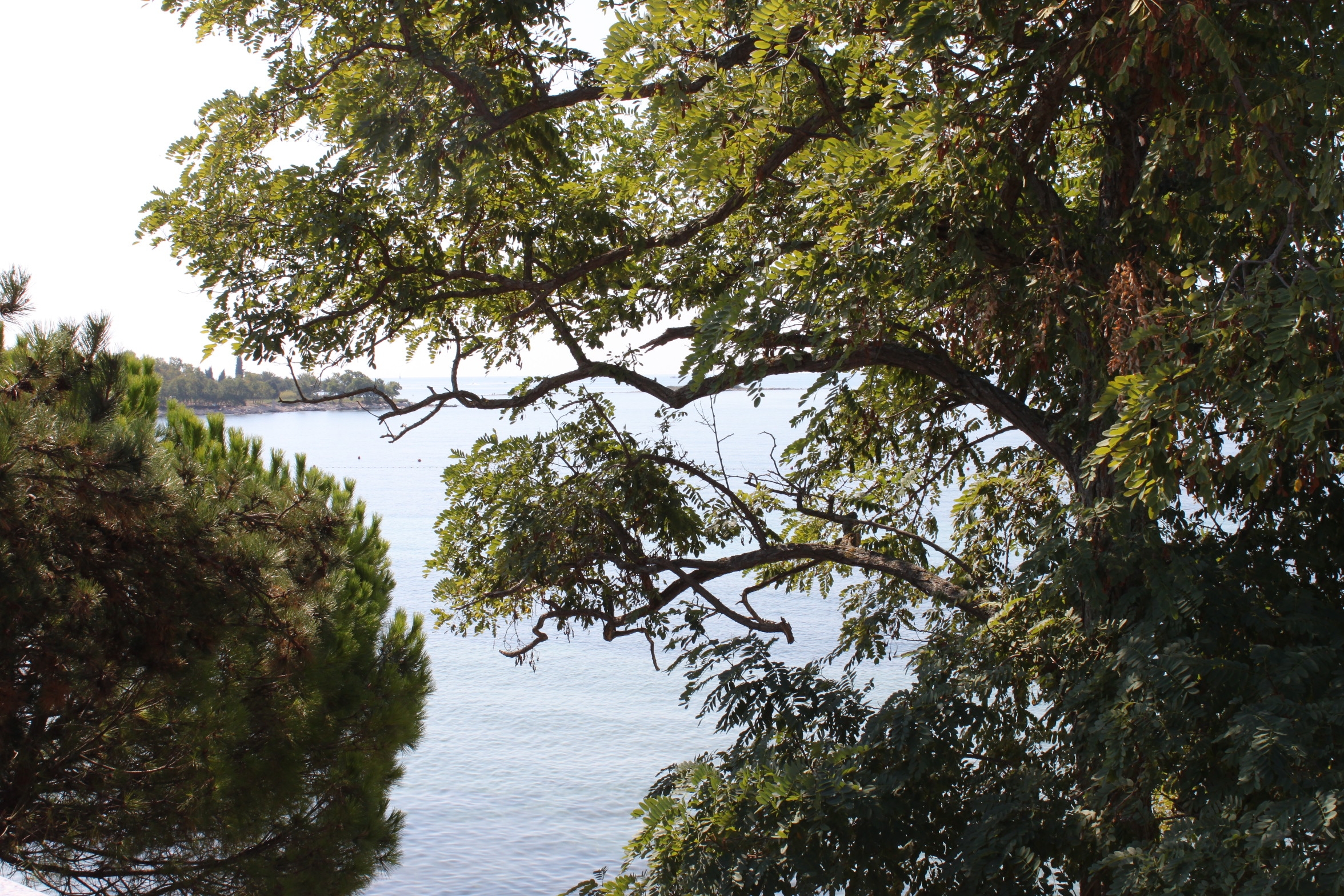 Two bedroom apartment near beach Zambratija, Umag  A-b