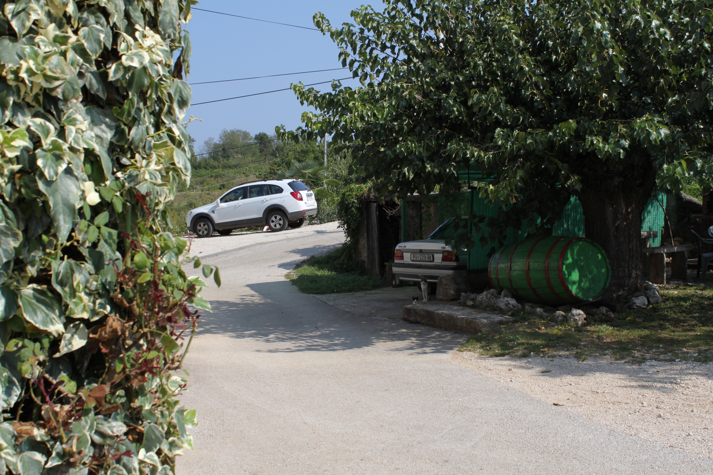 Three bedroom house with terrace Rakotule, Central Istria - Središnja Istra  K