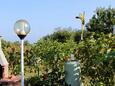 Umag, Terrasse - Ausblick in folgender Unterkunftsart apartment, Haustiere erlaubt und WiFi.