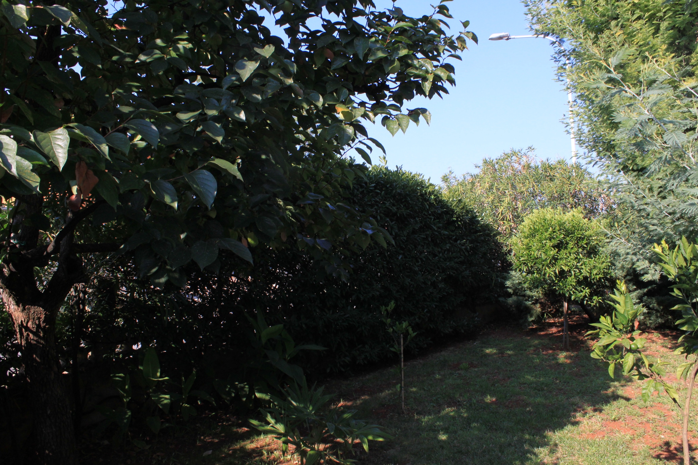 Two bedroom apartment with terrace Umag  A-b
