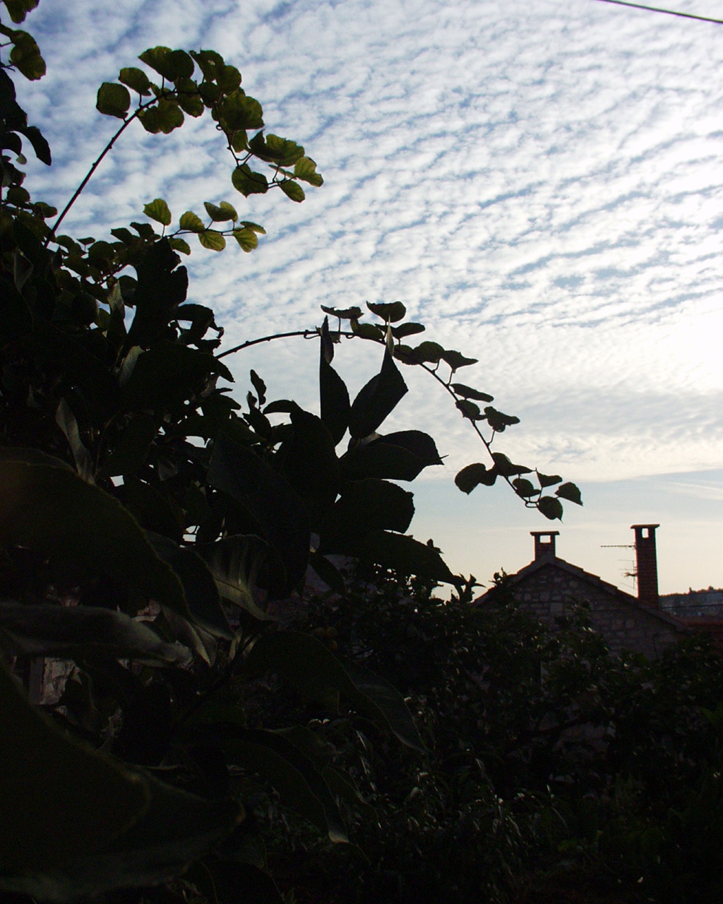 Studio apartman s terasom Sutivan, Brač  AS-a