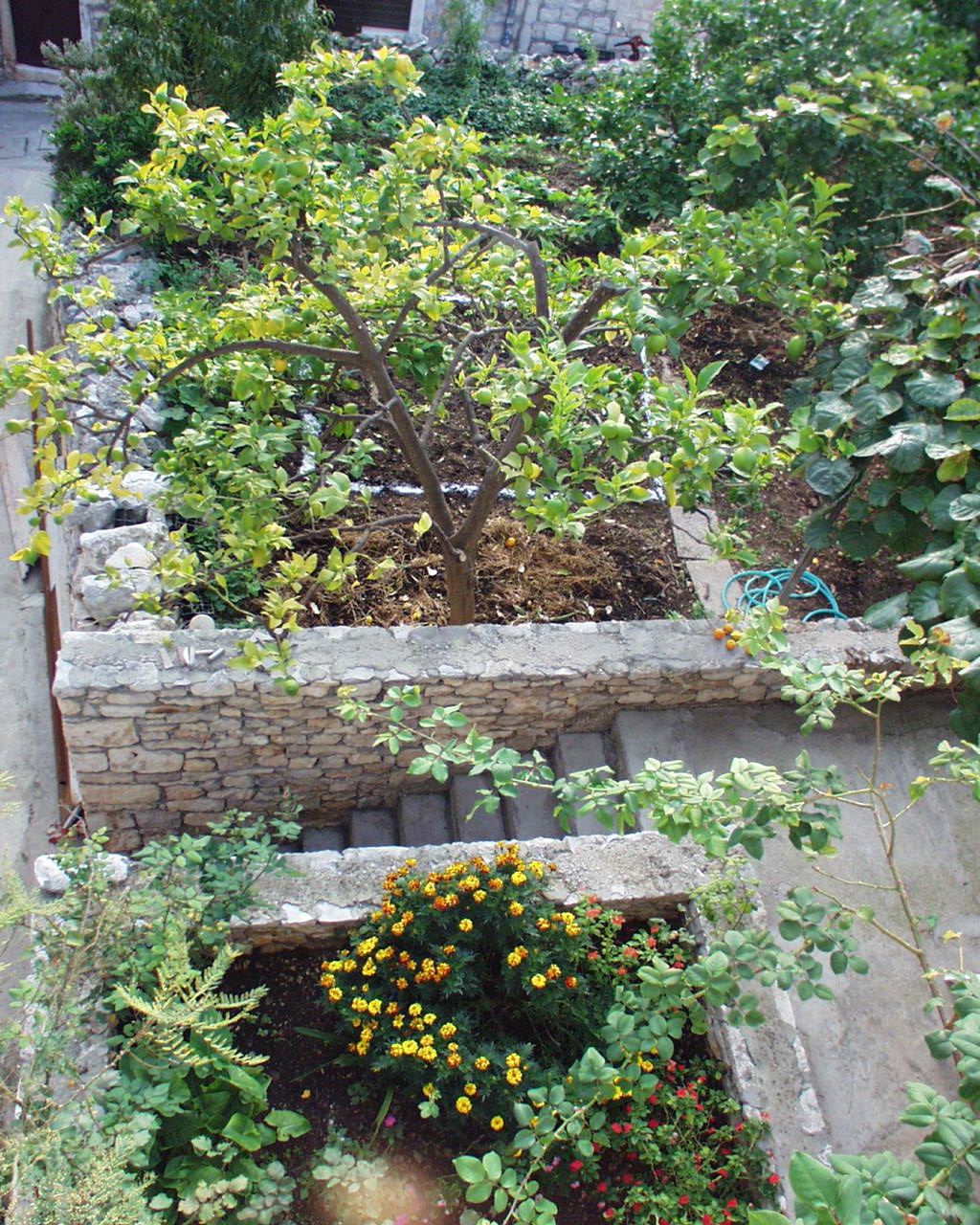 Studio apartman s terasom Sutivan, Brač  AS-a