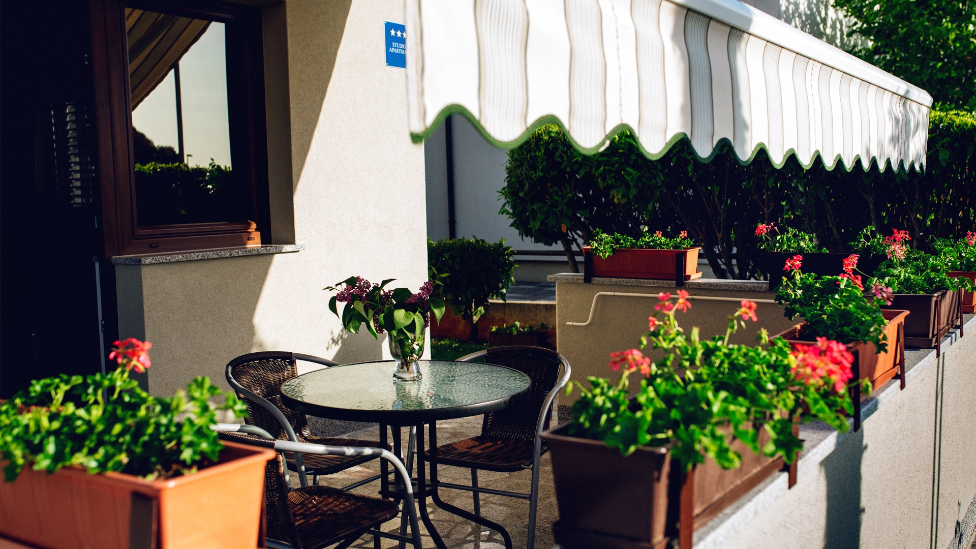 Top Fažana Top Fažana