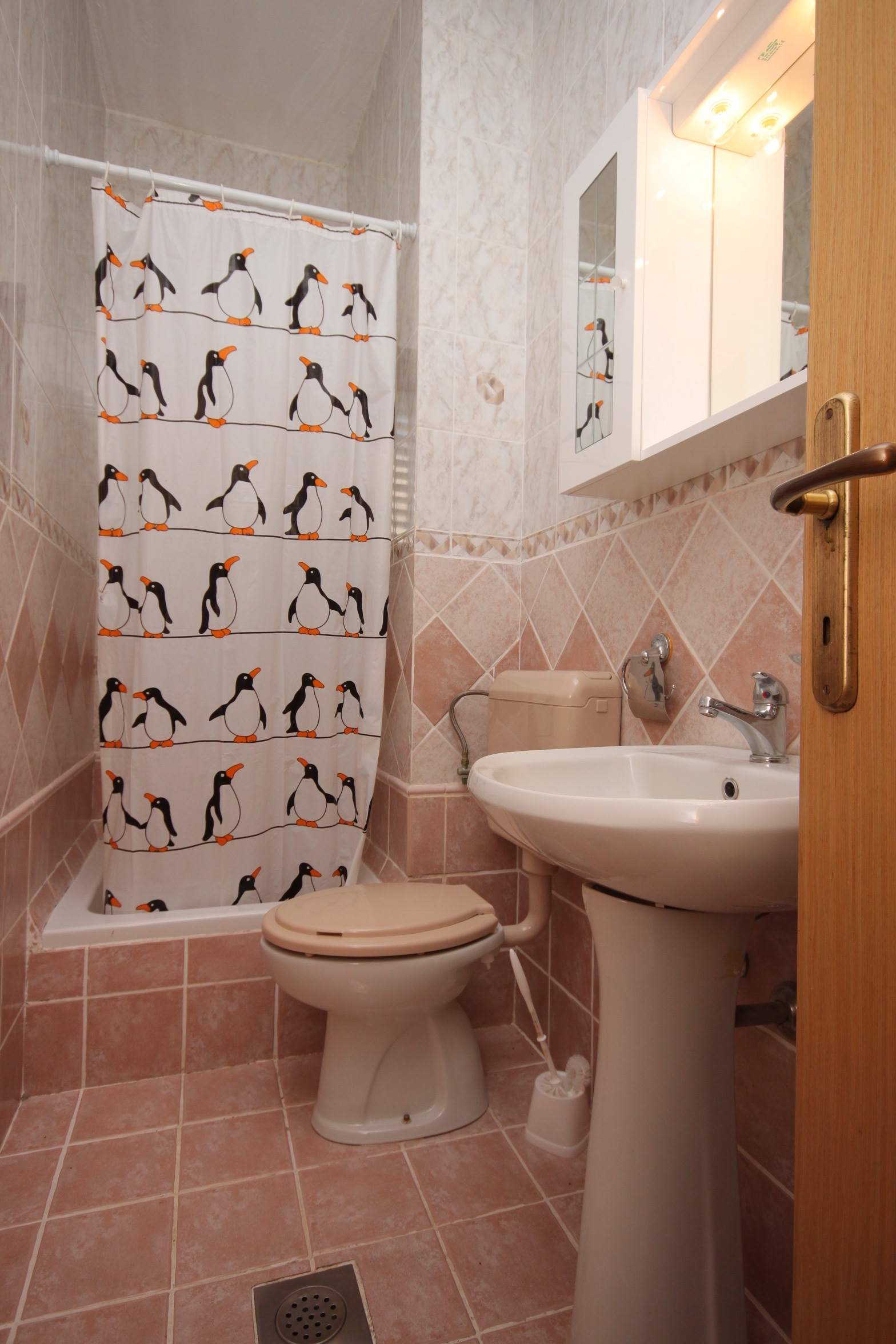 Three bedroom apartment with terrace Medulin  A-a