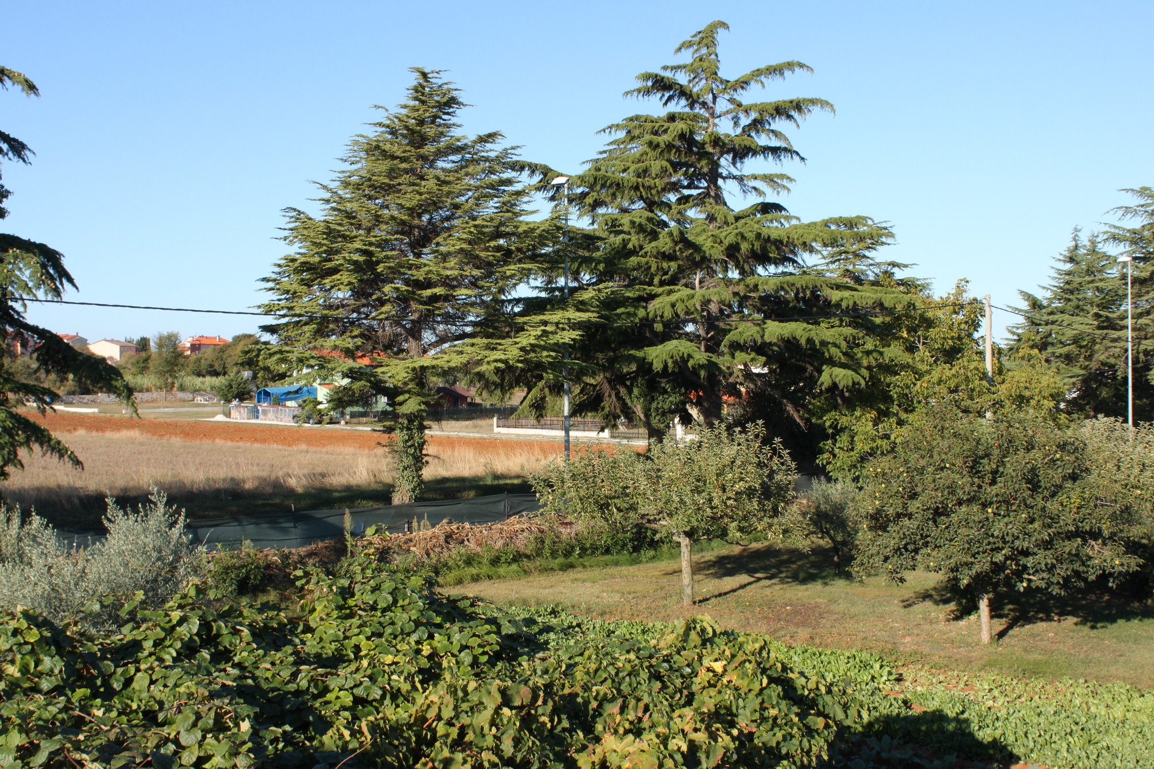 Two bedroom apartment with terrace Valbandon, Fažana  A-a
