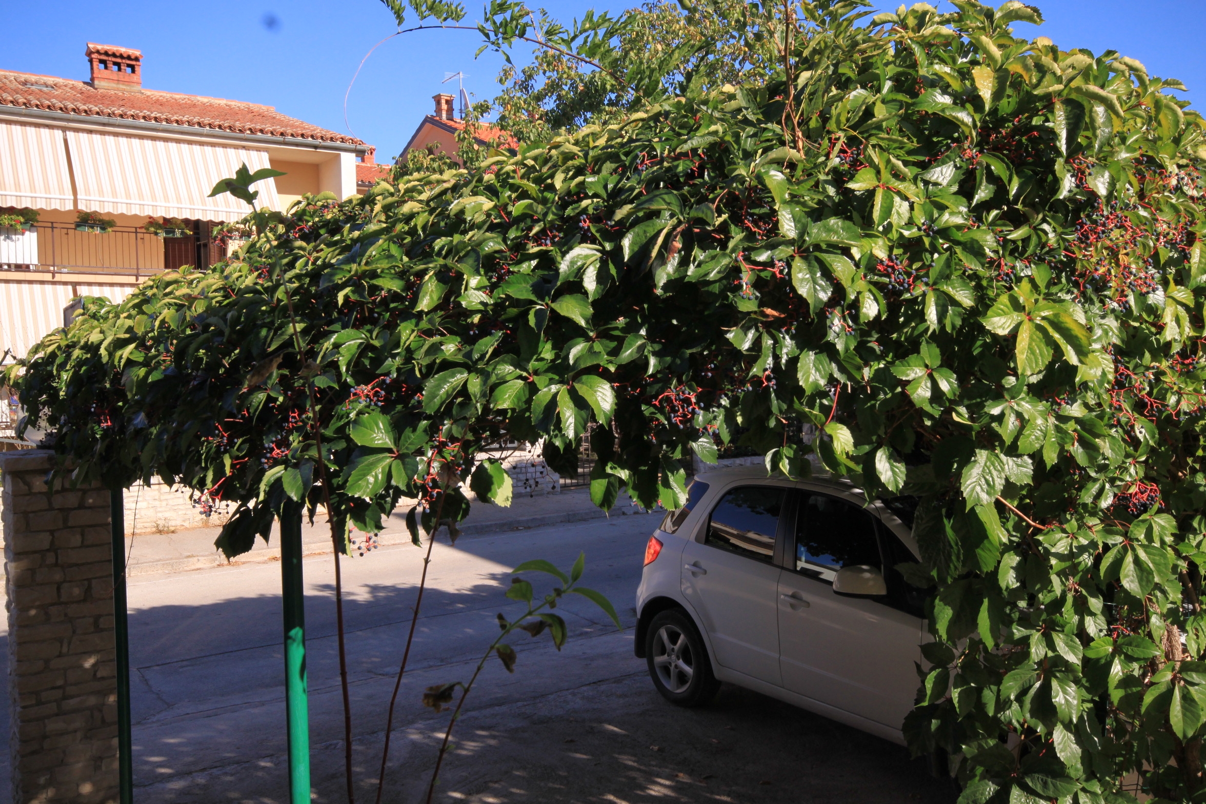 Top Fažana Top Fažana