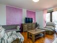 Obývací pokoj Šišan, Obývací pokoj v ubytování typu apartment, domácí mazlíčci povoleni a WiFi.