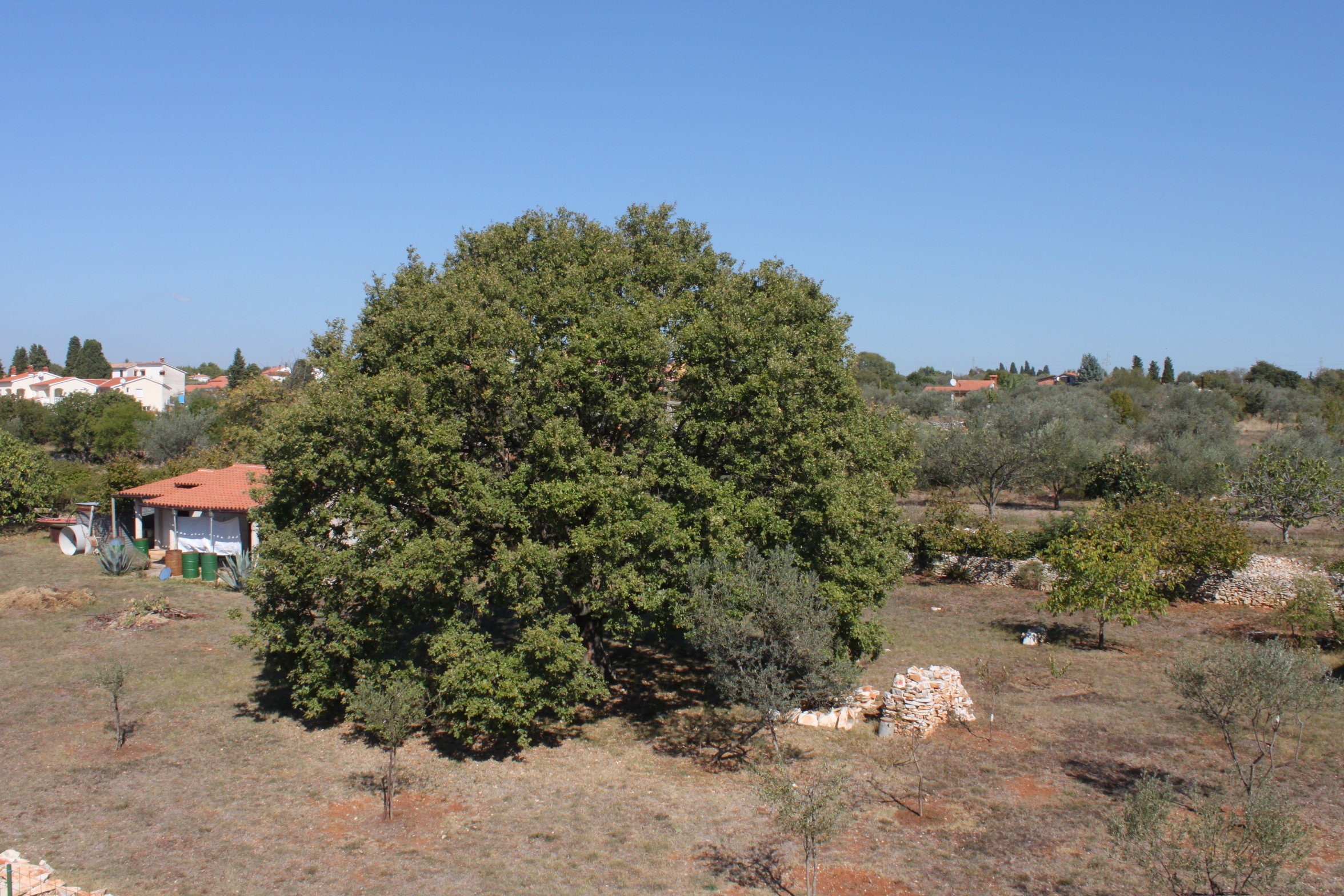 Top Fažana Top Fažana