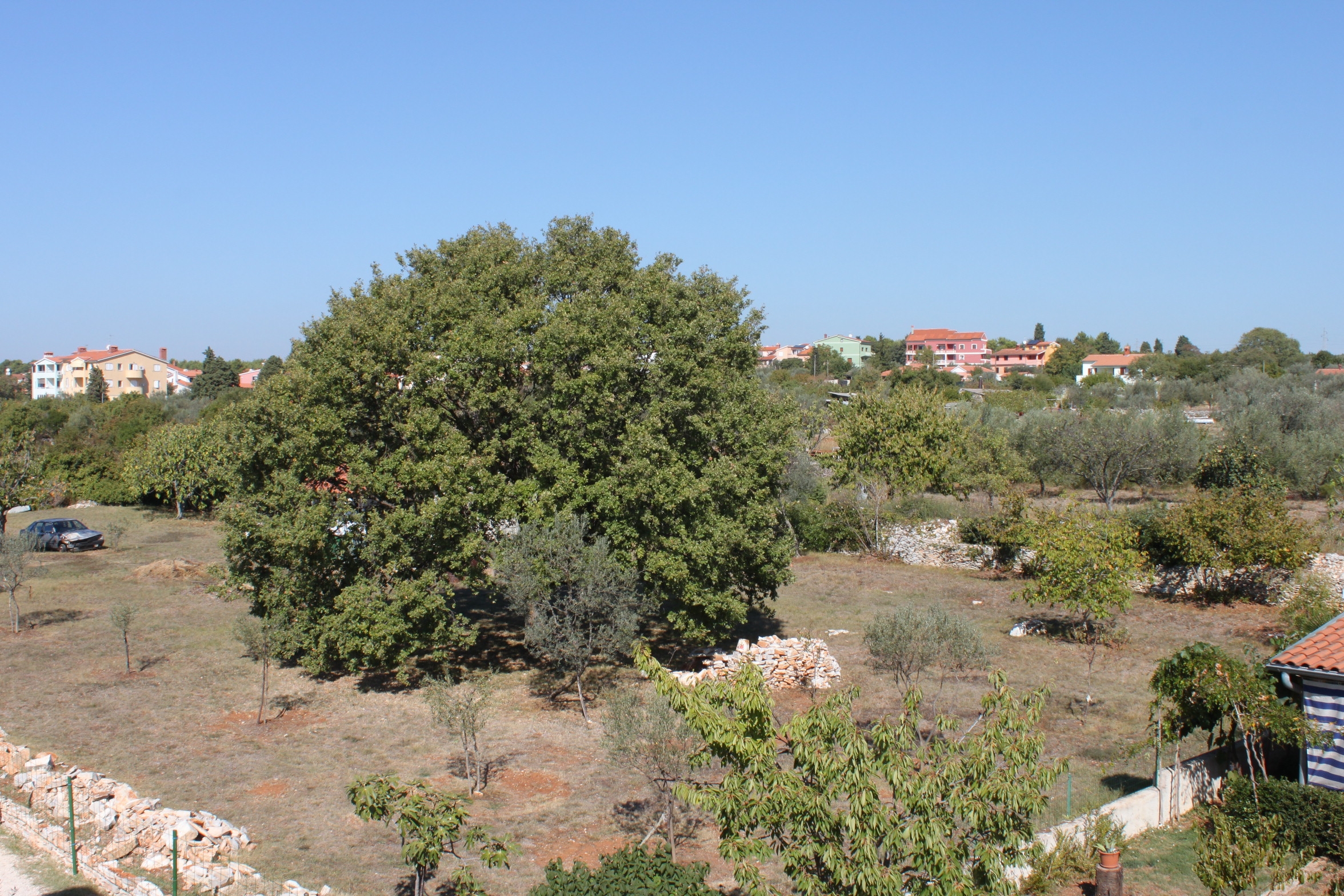 Top Fažana Top Fažana