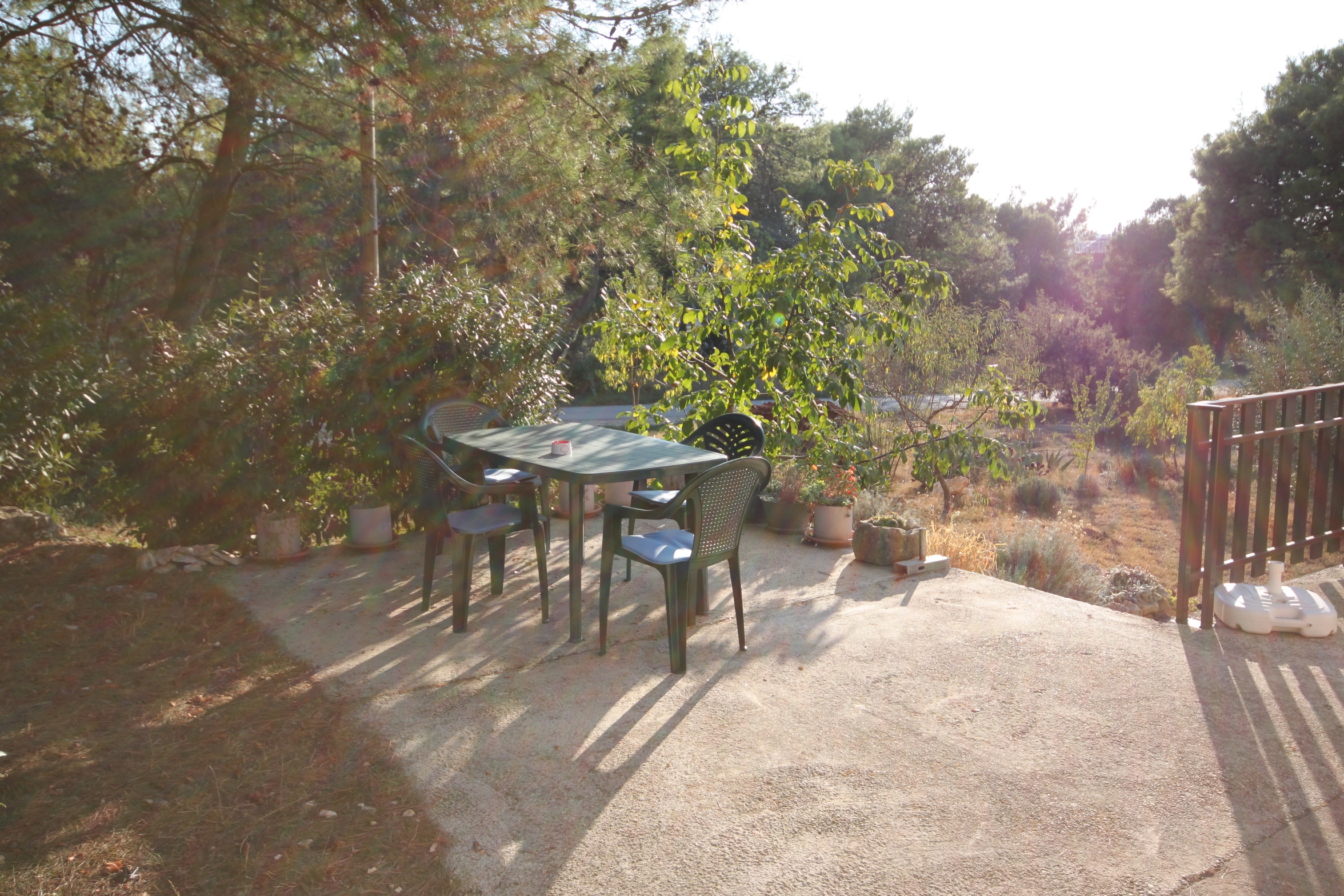 Top Medulin Pomer Top Medulin Pomer