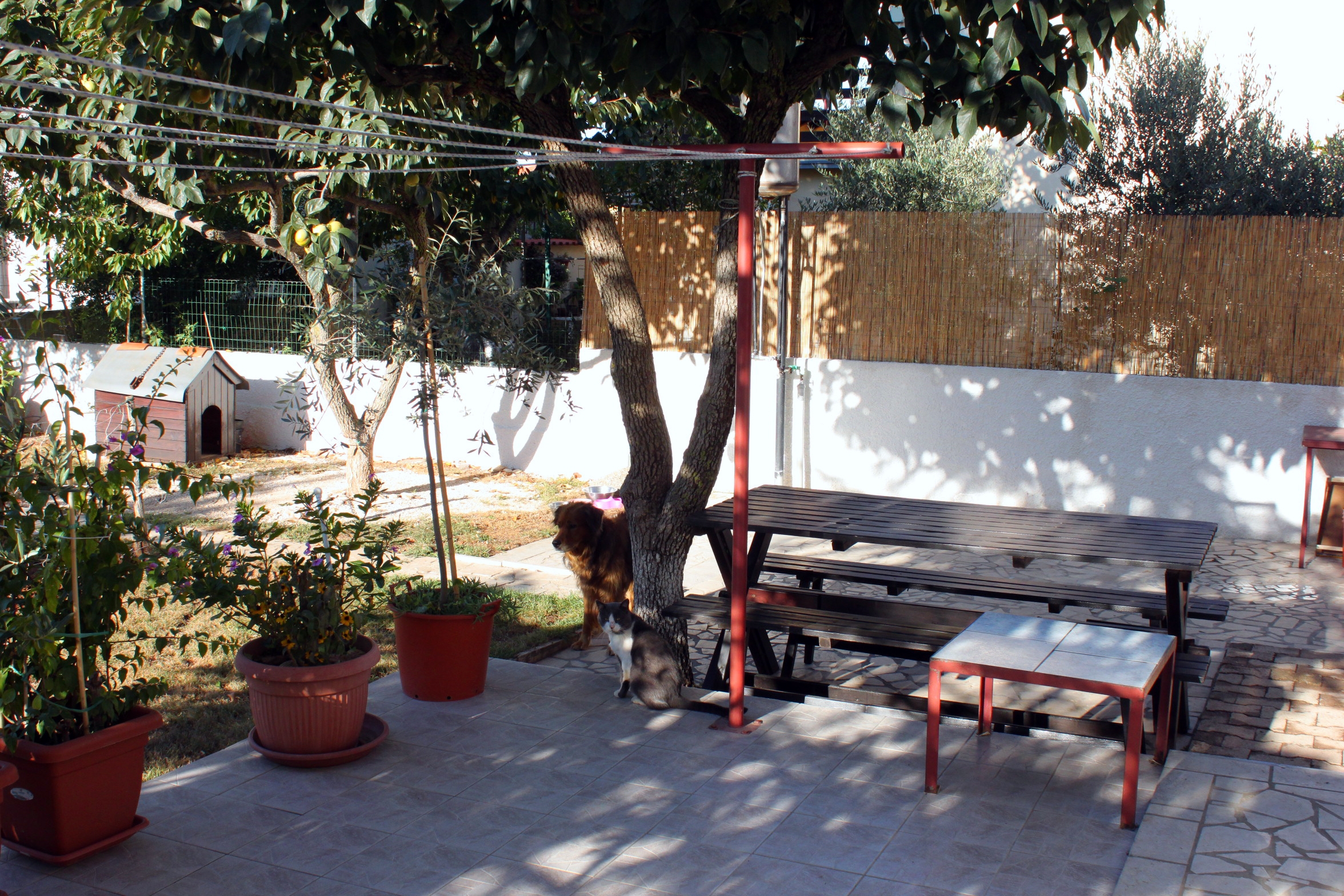 One bedroom apartment with terrace Medulin (A-7295-b) One bedroom apartment with terrace Medulin (A-7295-b)