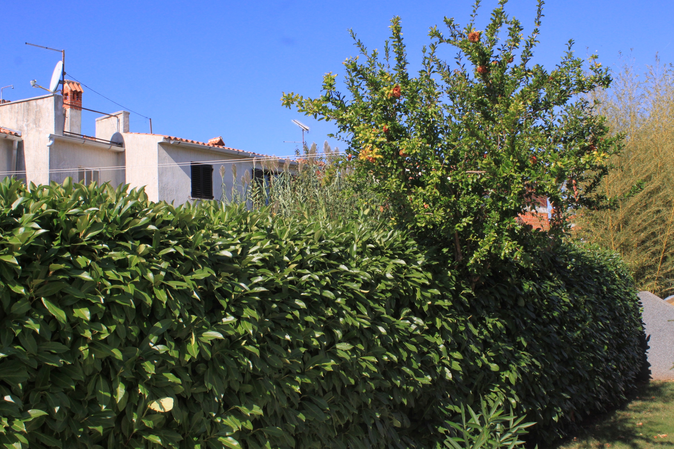 One bedroom apartment with terrace Valbandon, Fažana  A-a