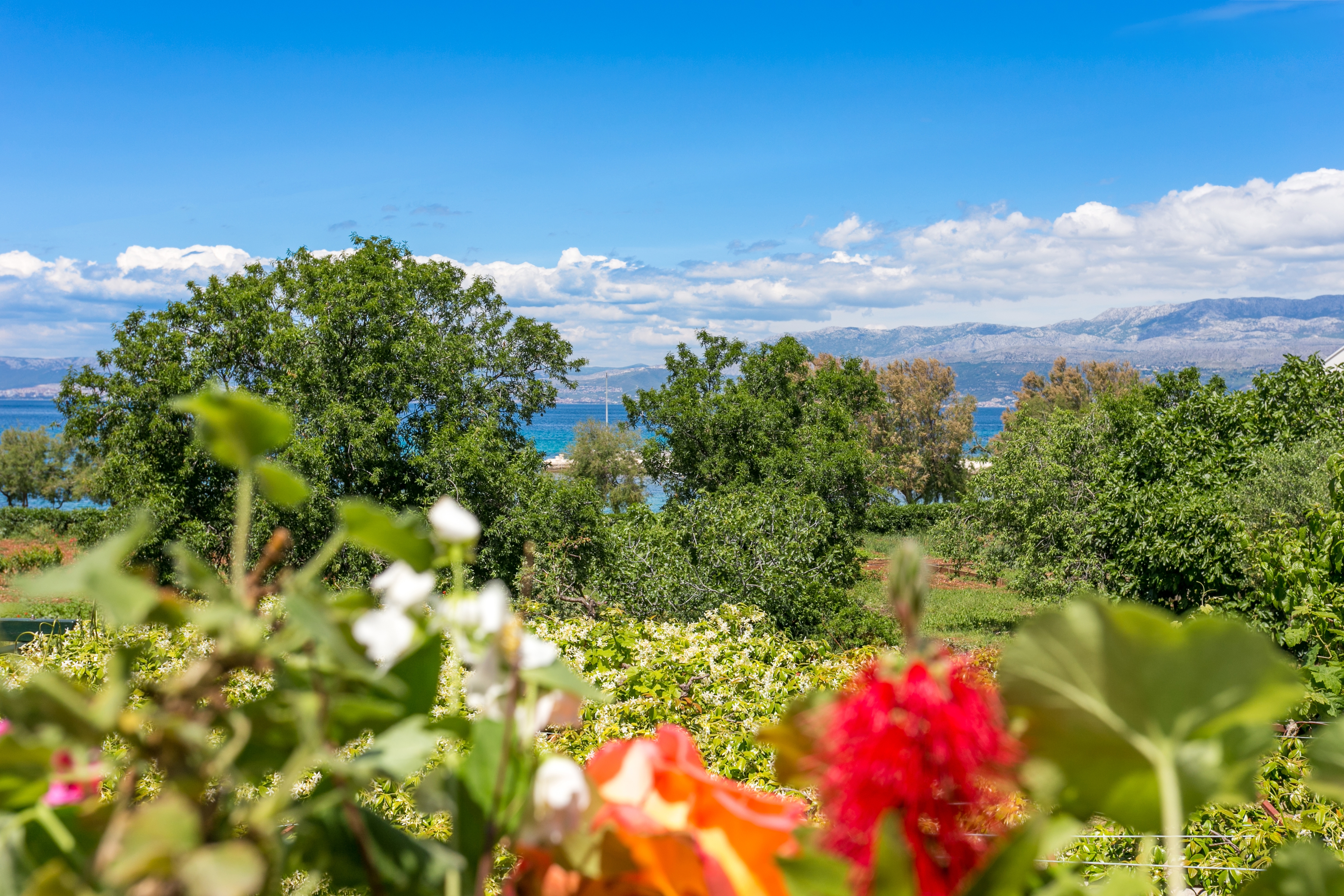 Three bedroom apartment with terrace and sea view Mirca, Brač  A-a