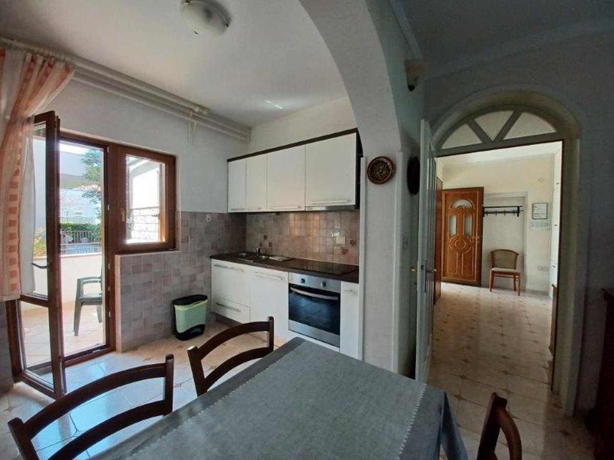 Top Novigrad Top Novigrad