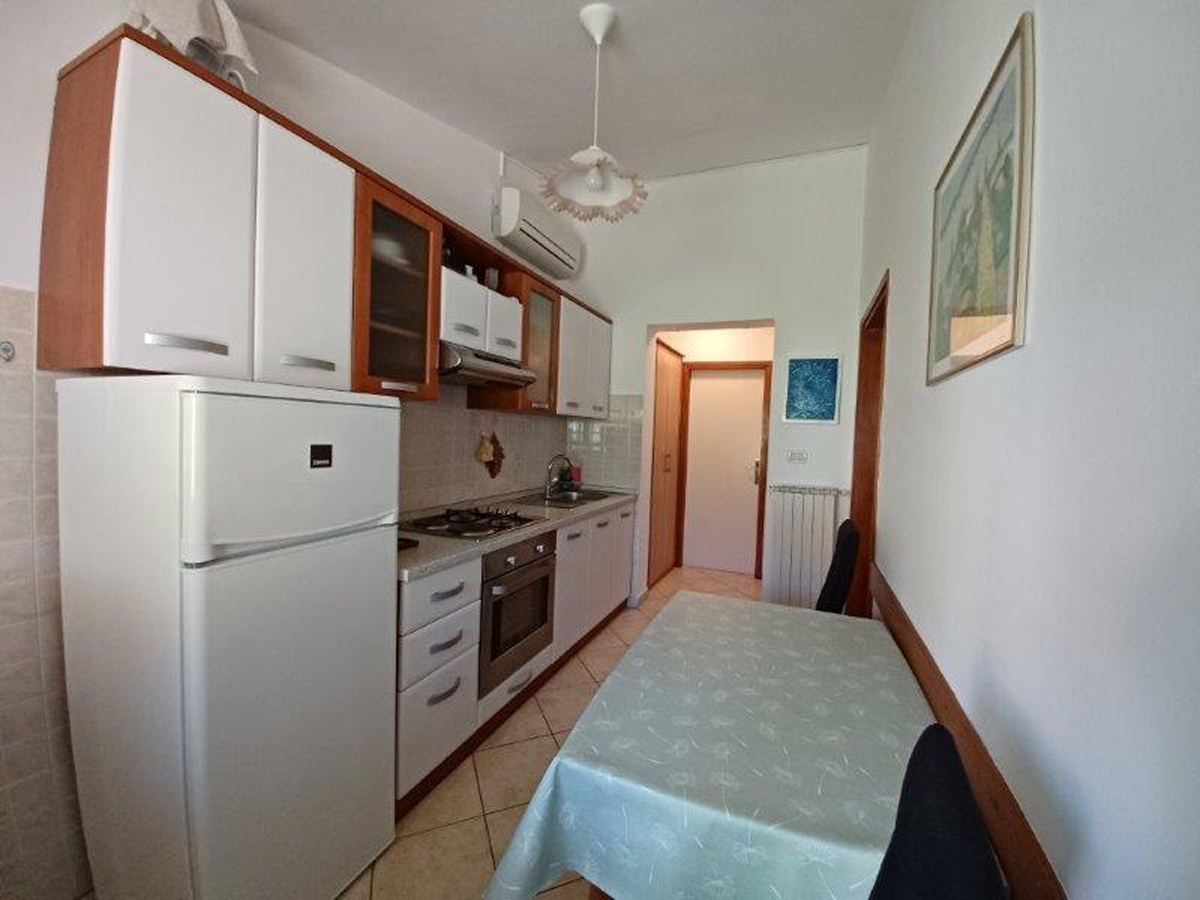 Top Novigrad Top Novigrad