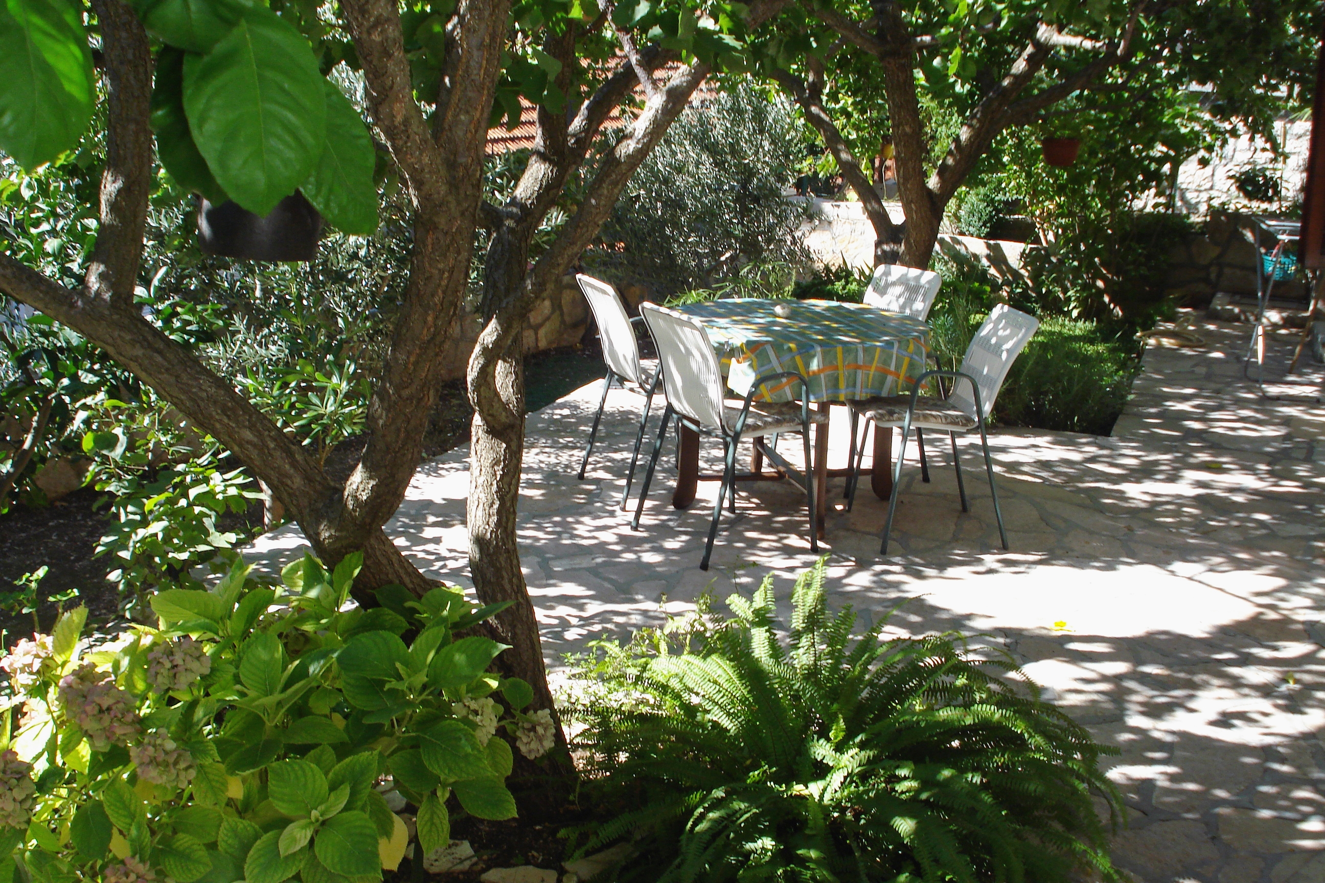 Studio flat with terrace Milna, Brač (AS-735-a) Studio flat with terrace Milna, Brač (AS-735-a)