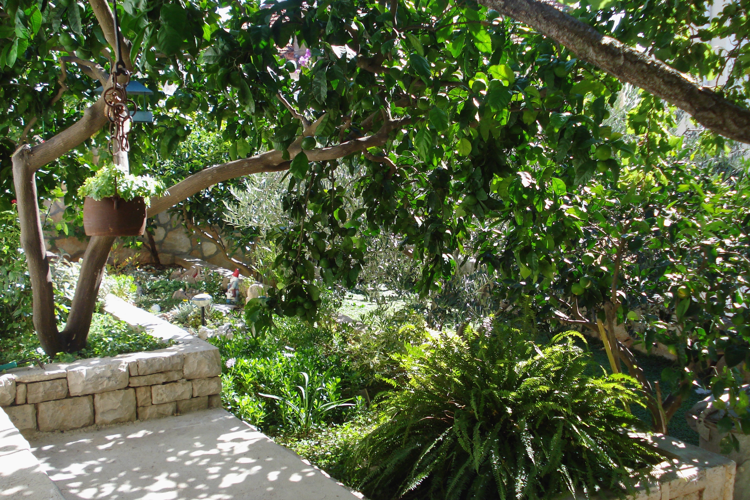 Top Brač Milna Top Brač Milna