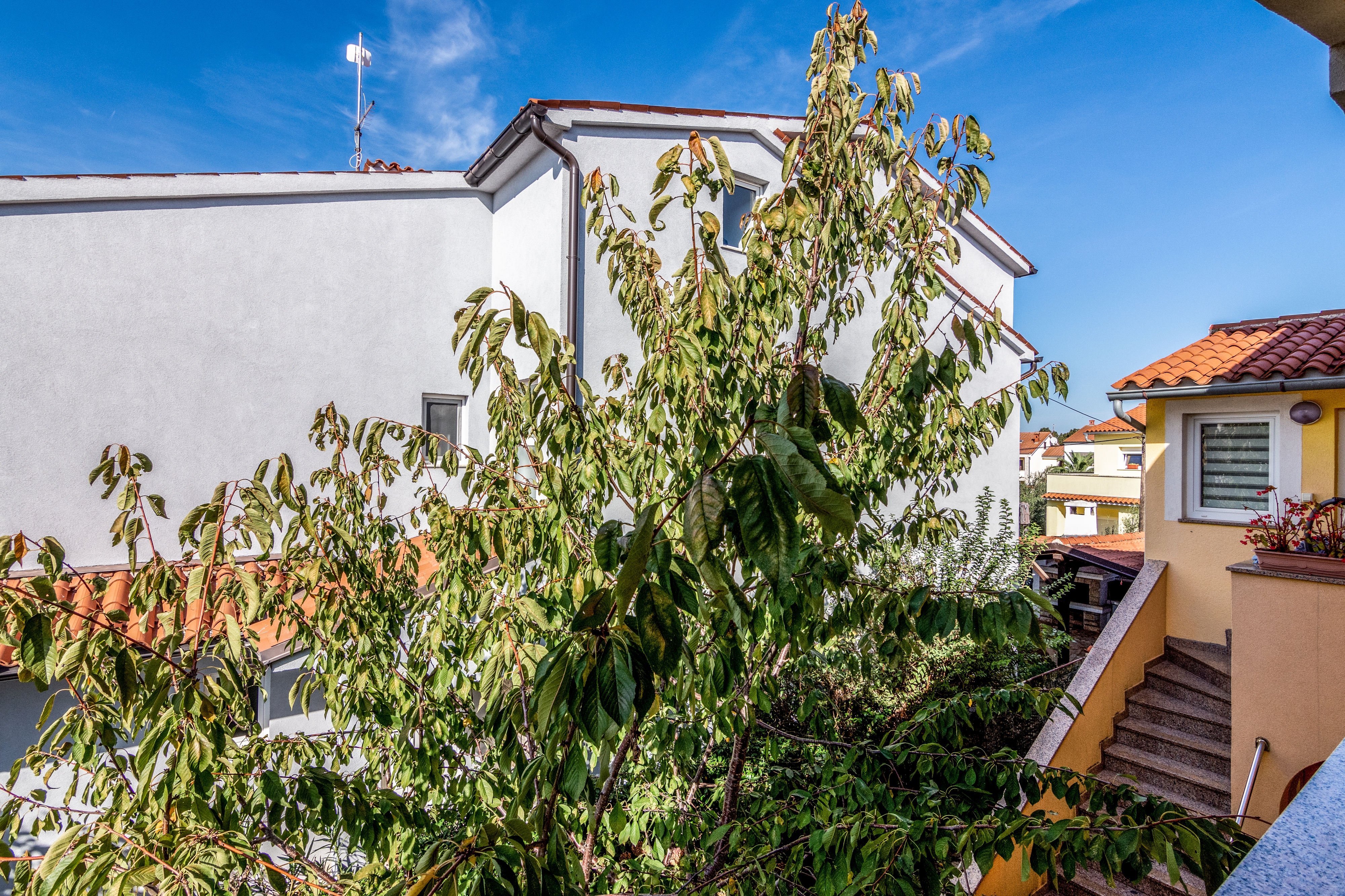 Three bedroom apartment with terrace Valbandon, Fažana  A-a