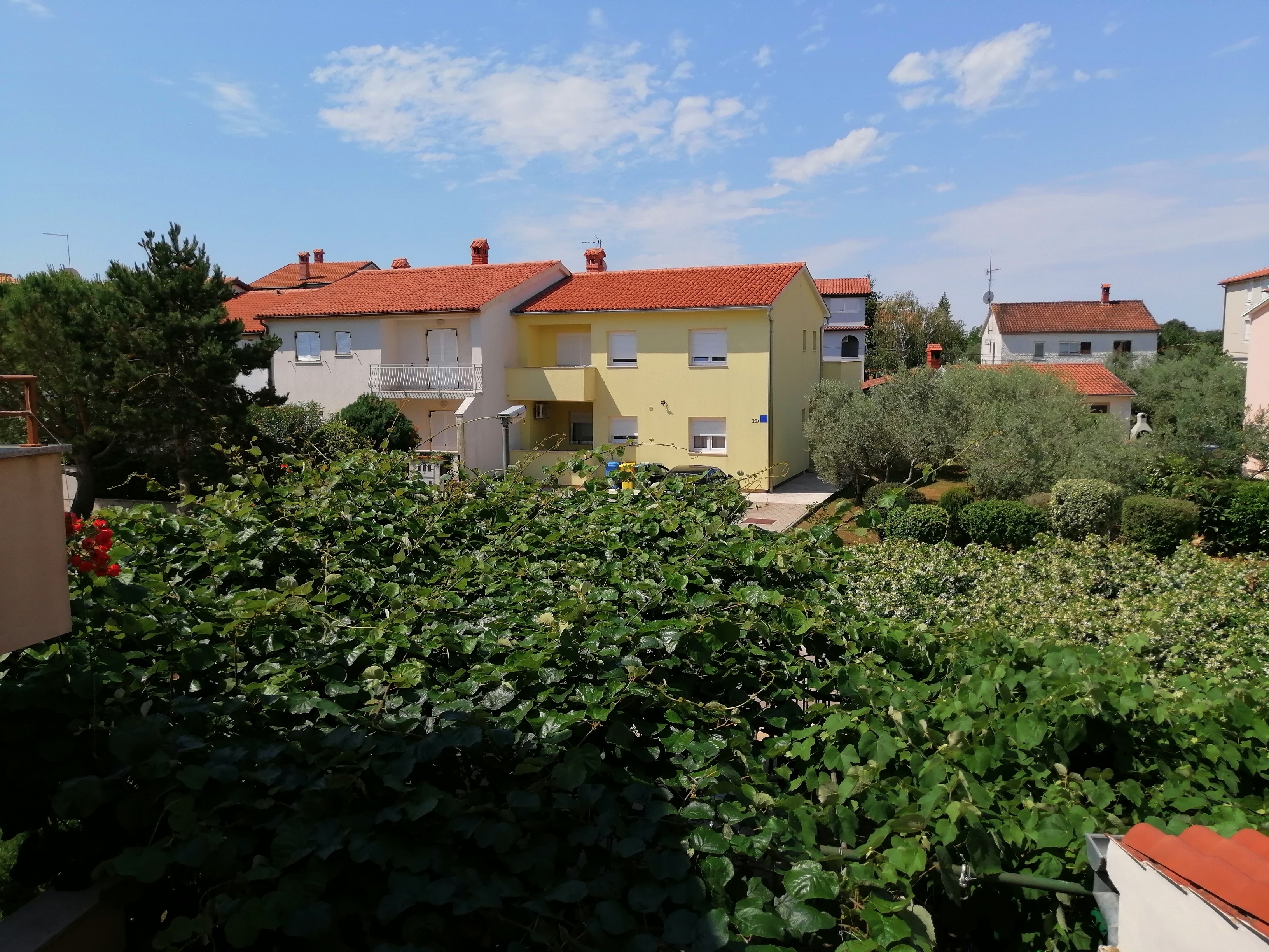 Top Fažana Valbandon Top Fažana Valbandon