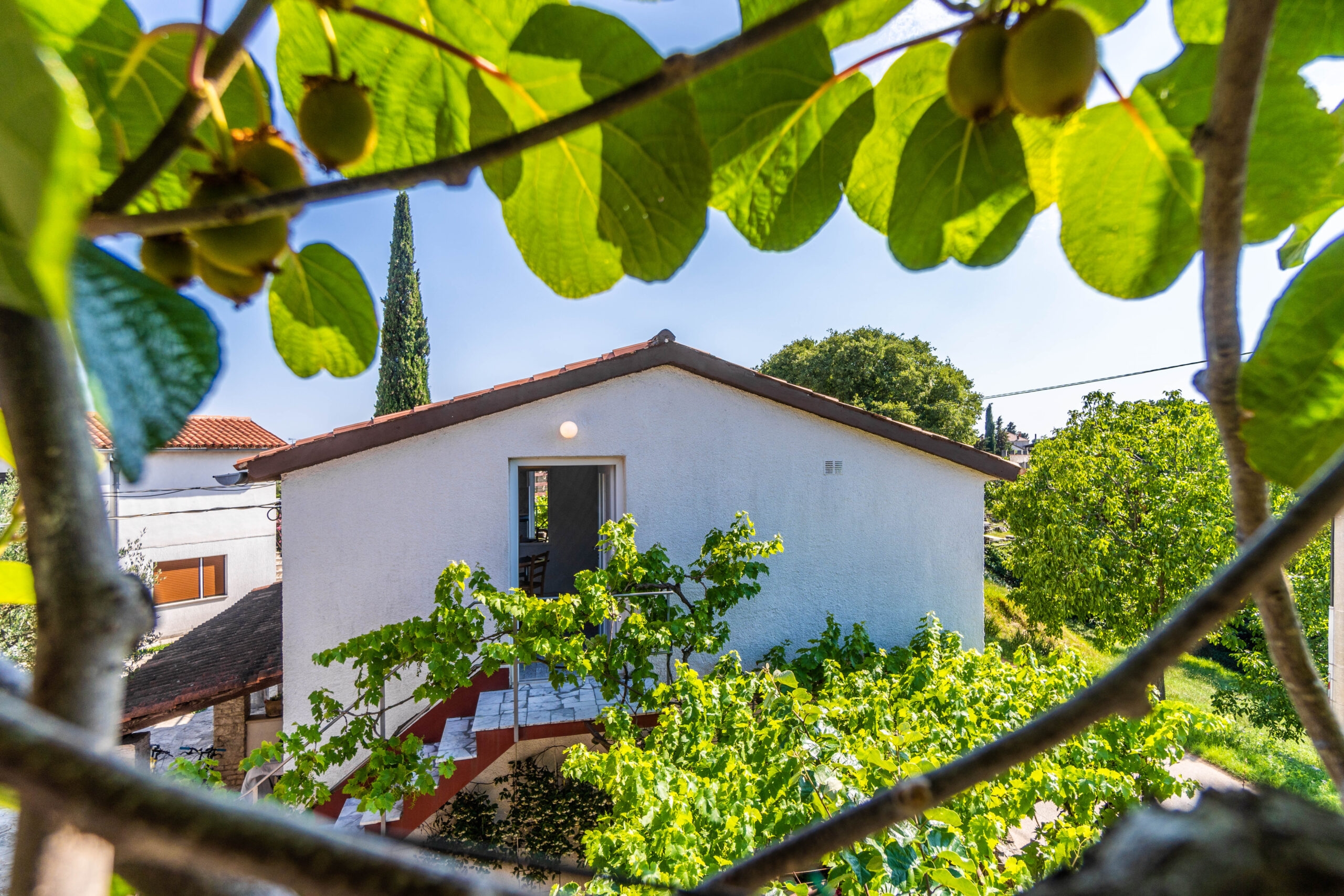 Top Marčana Krnica Top Marčana Krnica