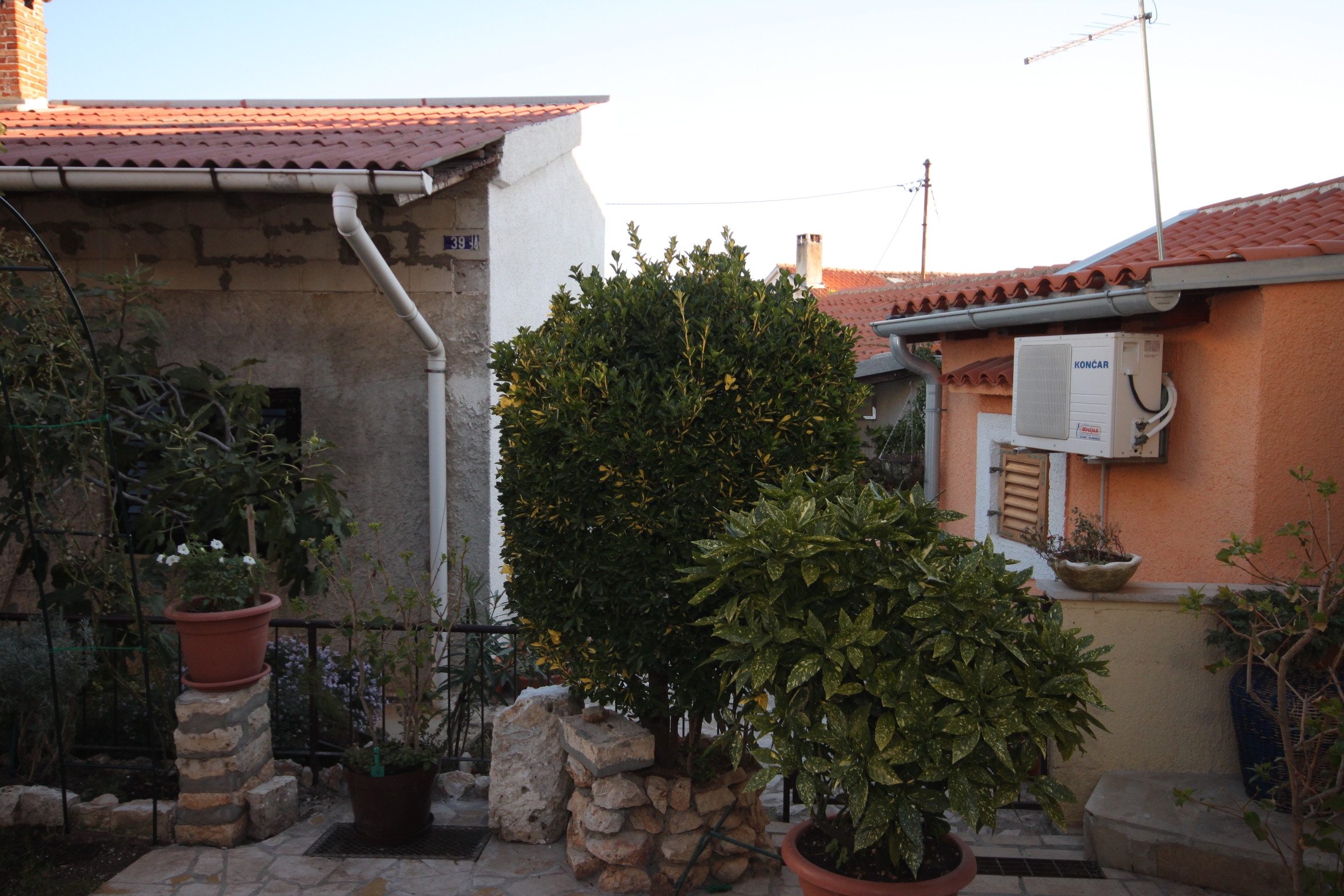 Top Medulin Pomer Top Medulin Pomer