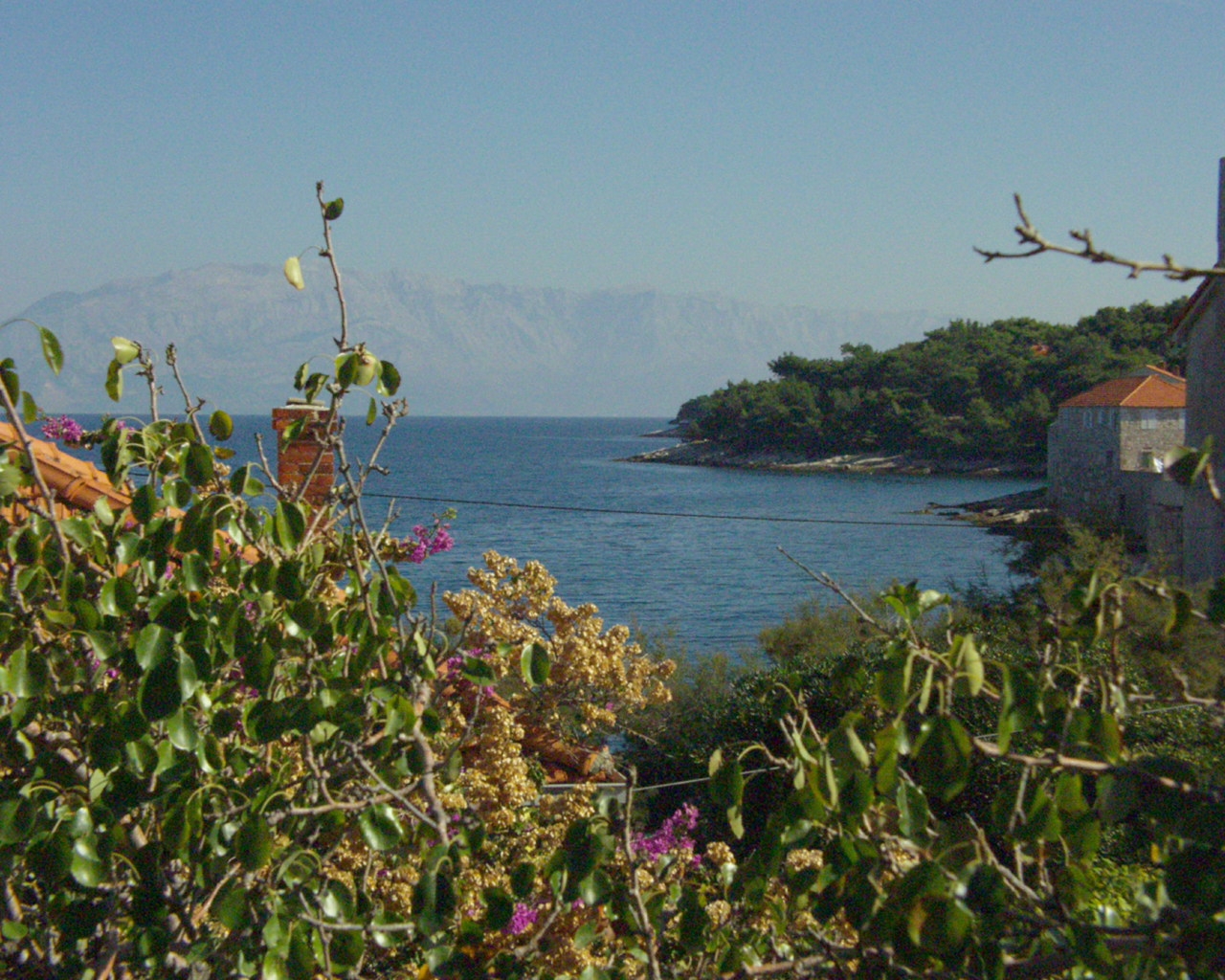 Two bedroom apartment with terrace and sea view Postira, Brač  A-b