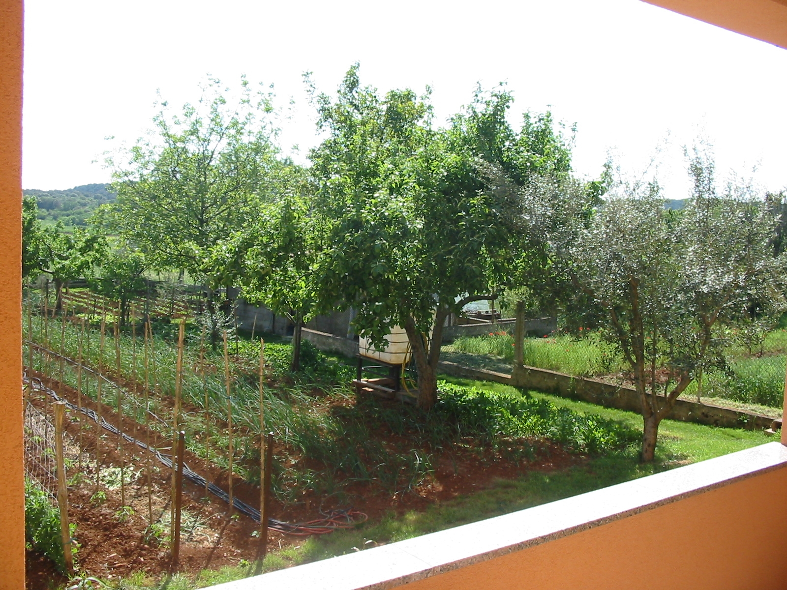One bedroom apartment with terrace Pula  A-a