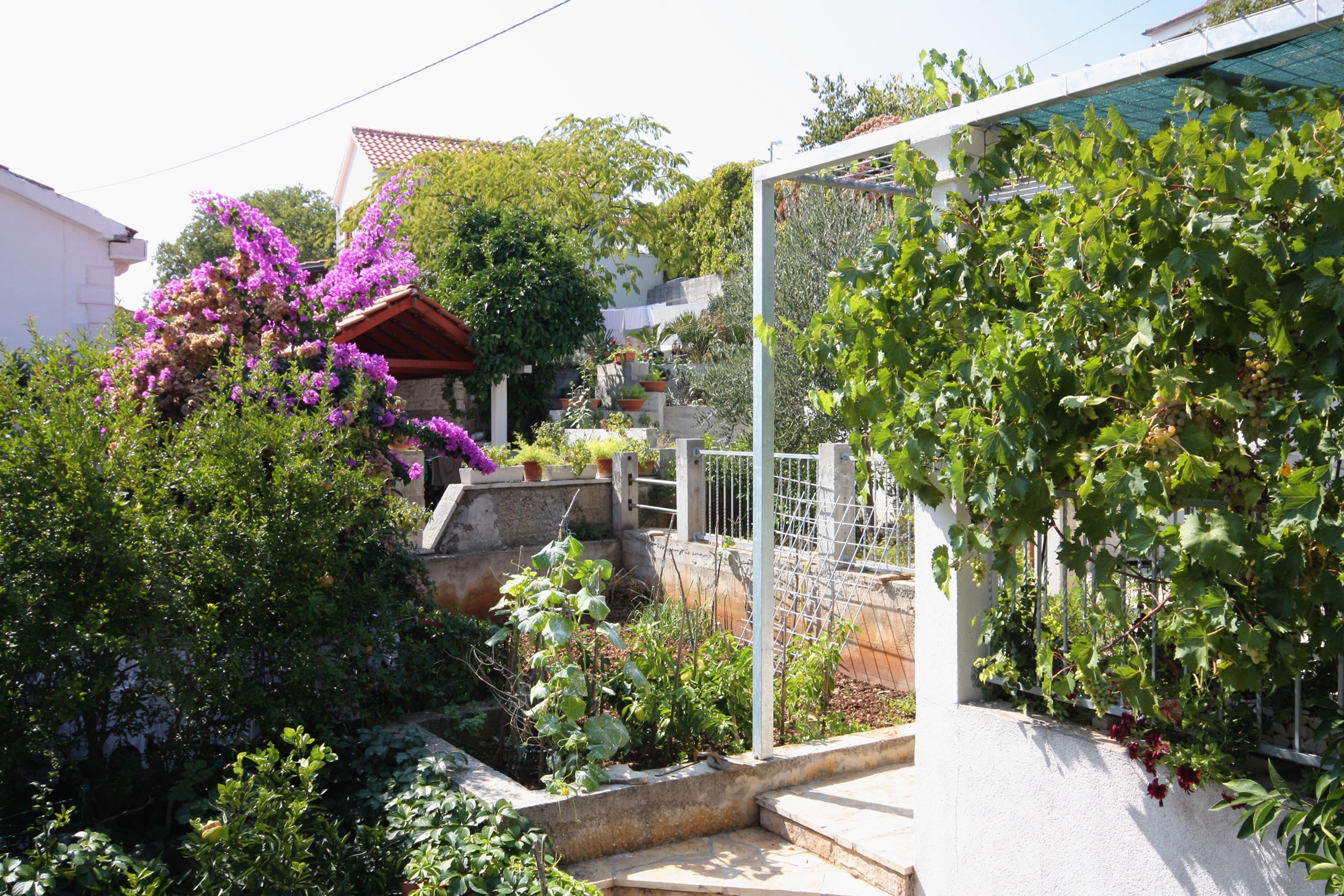 Dvosobni apartman s terasom i pogledom na more Sutivan, Brač  A-a