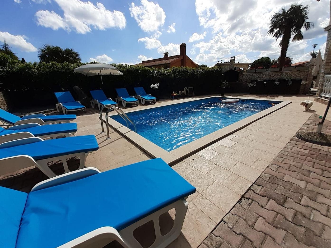 Top Središnja Istra Nedešćina Top Središnja Istra Nedešćina