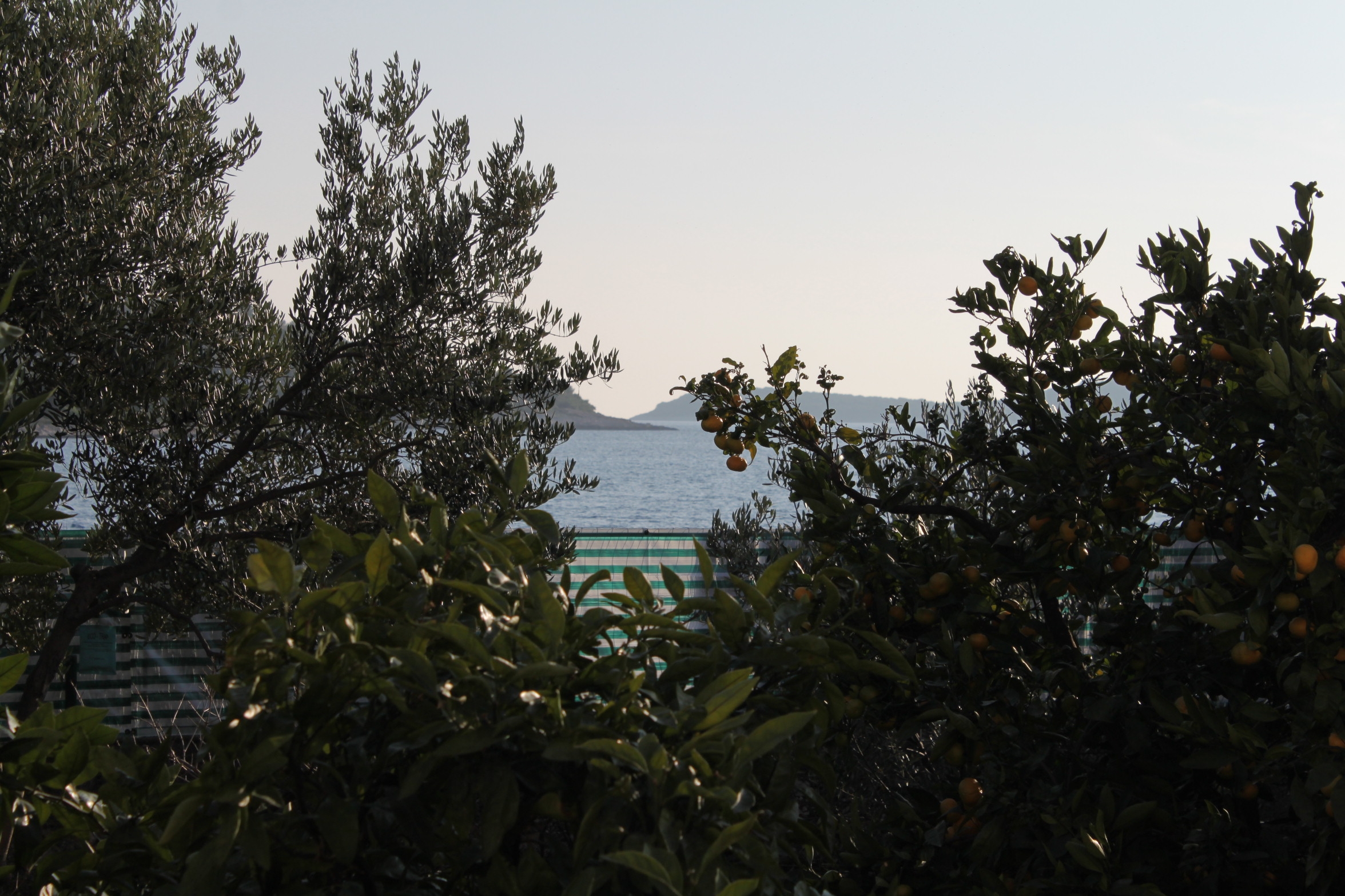 Three bedroom apartment near beach Rogoznica  A-a