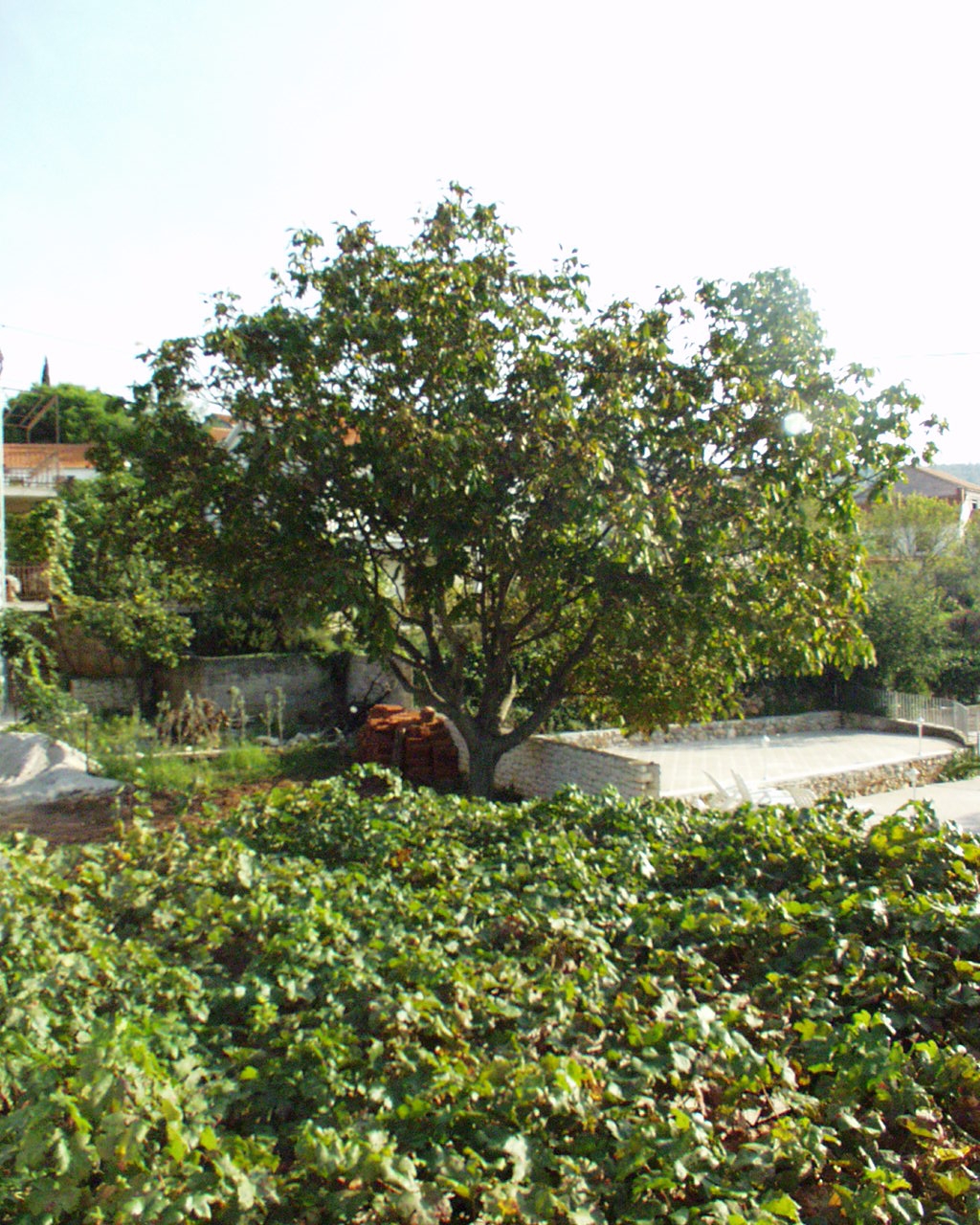 One bedroom apartment with balcony Sutivan, Brač  A-c