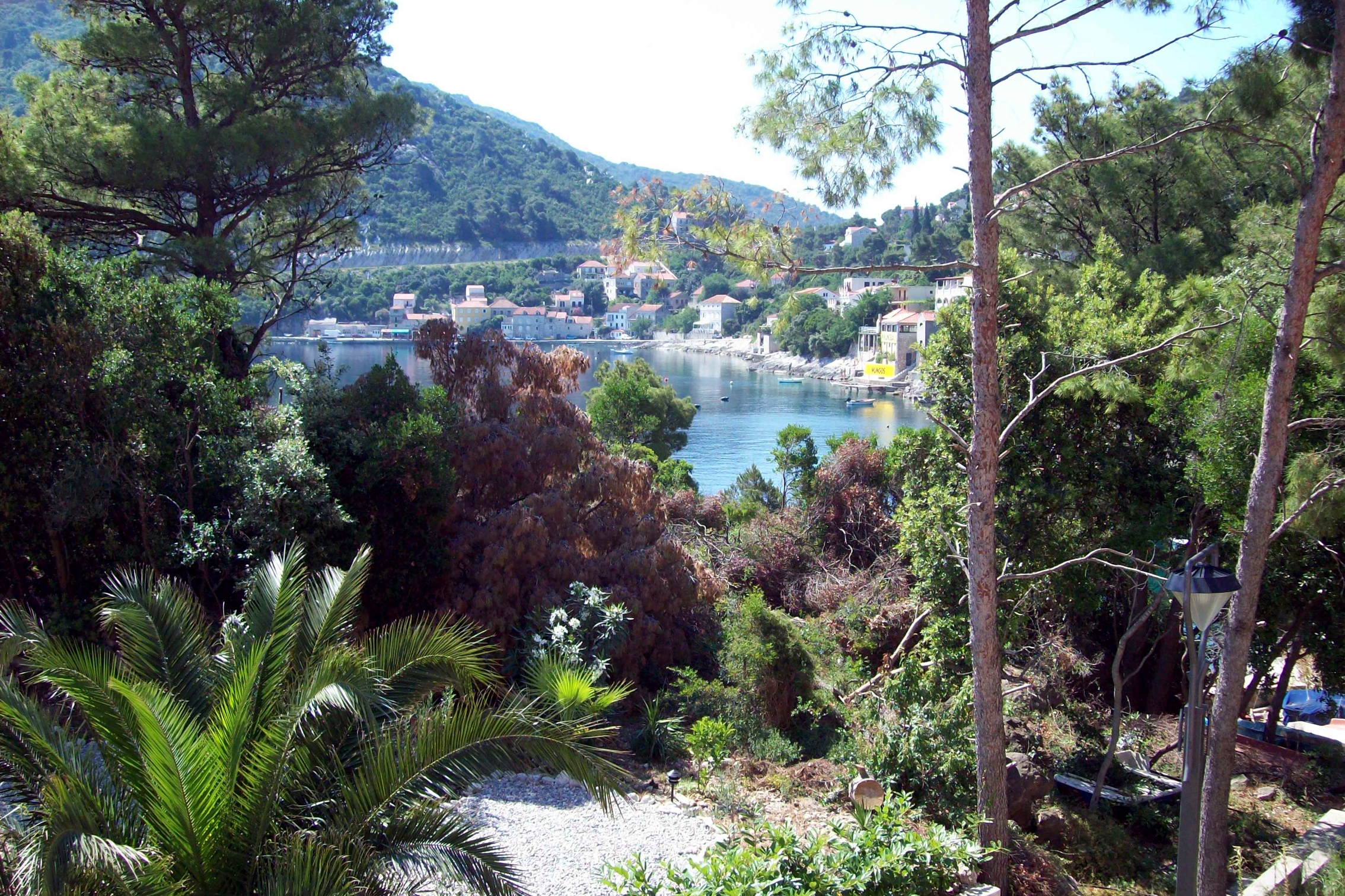 One bedroom apartment near beach Sobra, Mljet  A-d