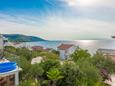 Bušinci, Terrace - view in the apartment, (pet friendly) and WiFi.