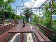 Dugi Rat, Terrace in the apartment, with a sea view, (pet friendly) and WiFi.