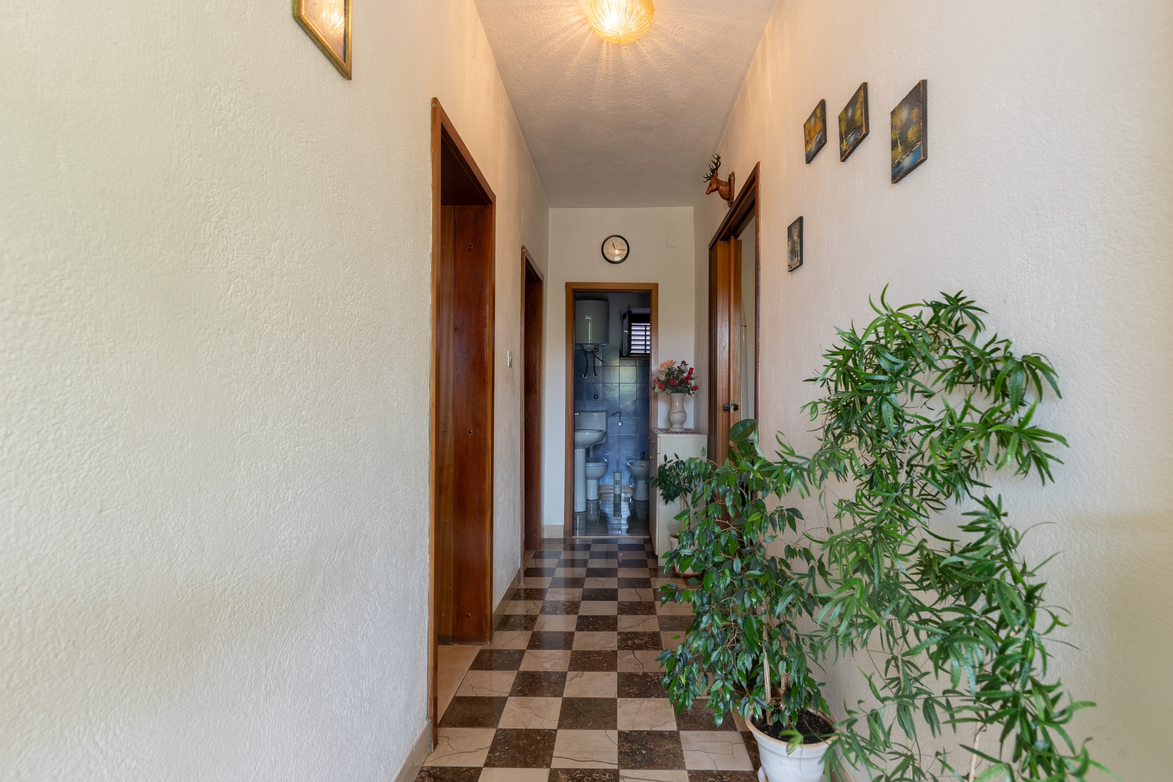 Two bedroom apartment with terrace Sumartin, Brač  A-a