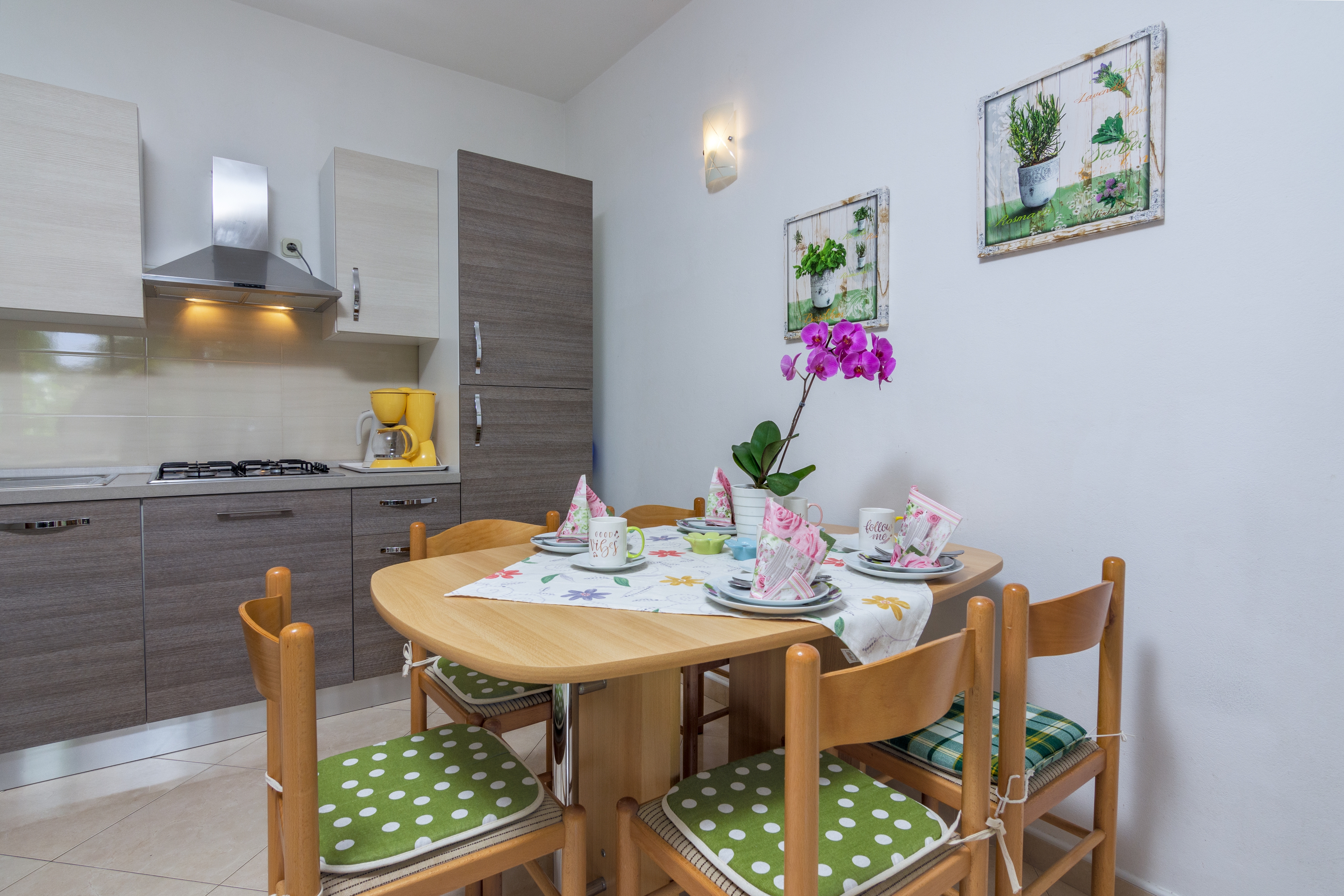 Top Medulin Top Medulin