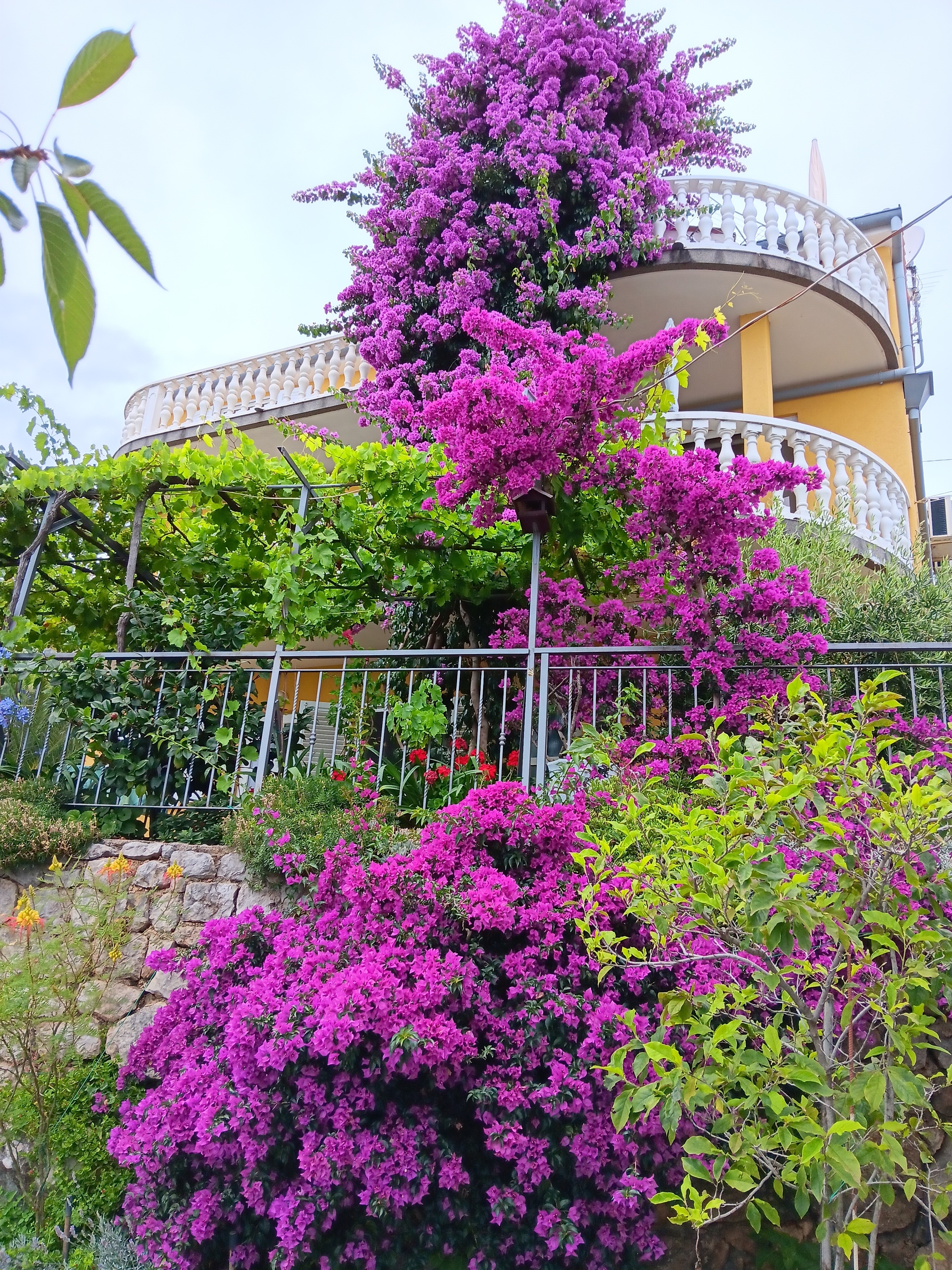 Top Opatija Medveja Top Opatija Medveja