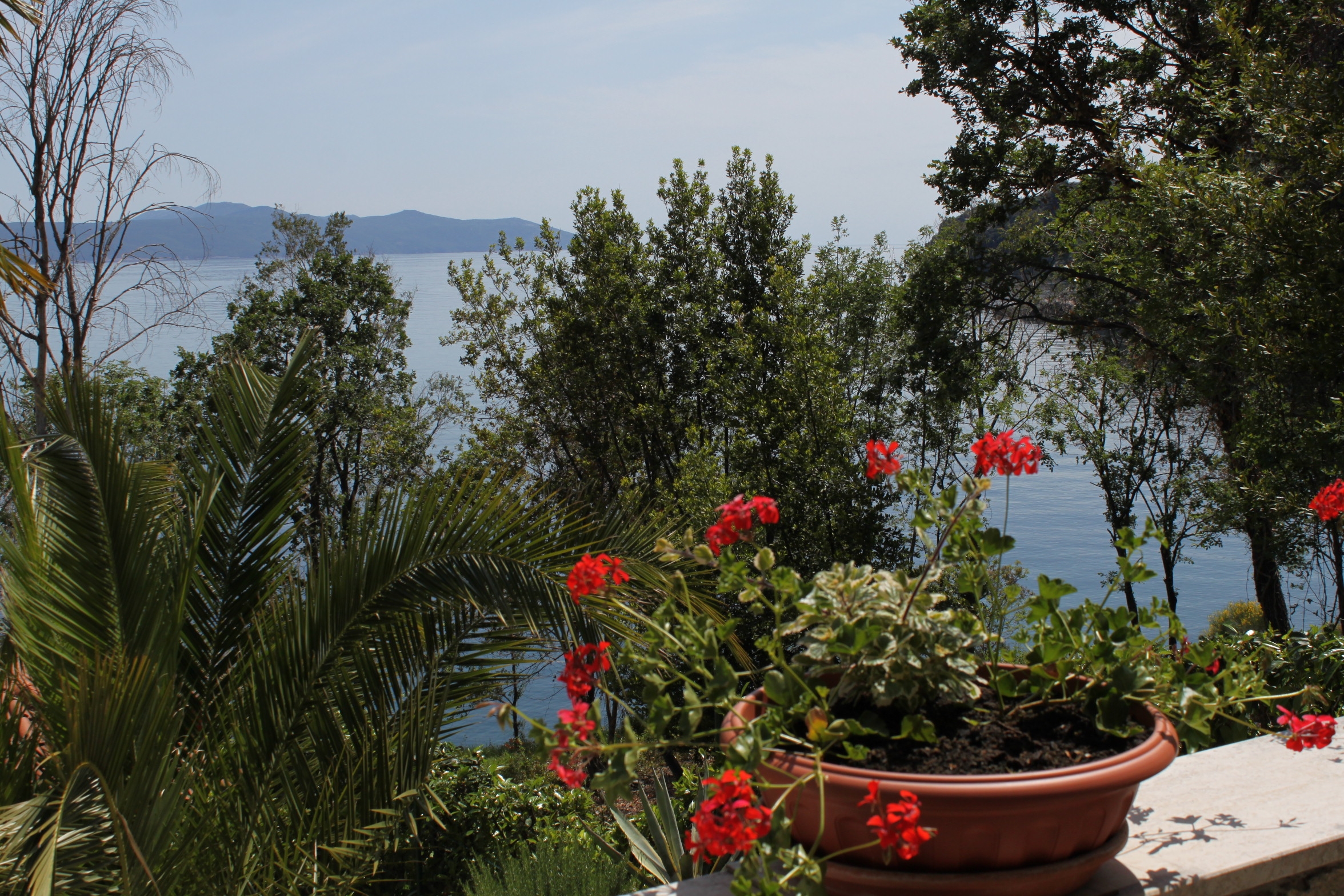 One bedroom apartment near beach Medveja, Opatija  A-b