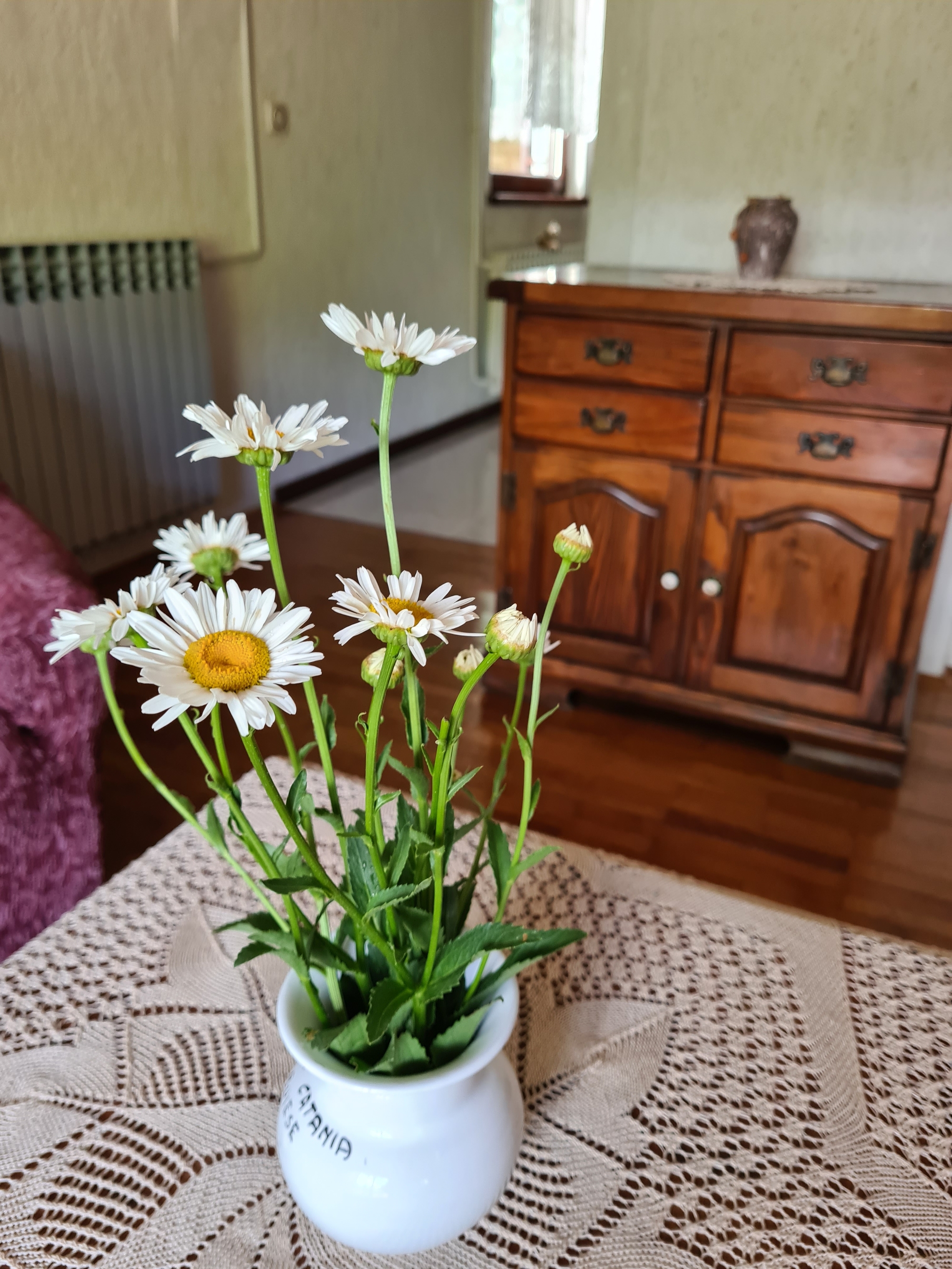 Top Opatija Mošćenička Draga Top Opatija Mošćenička Draga