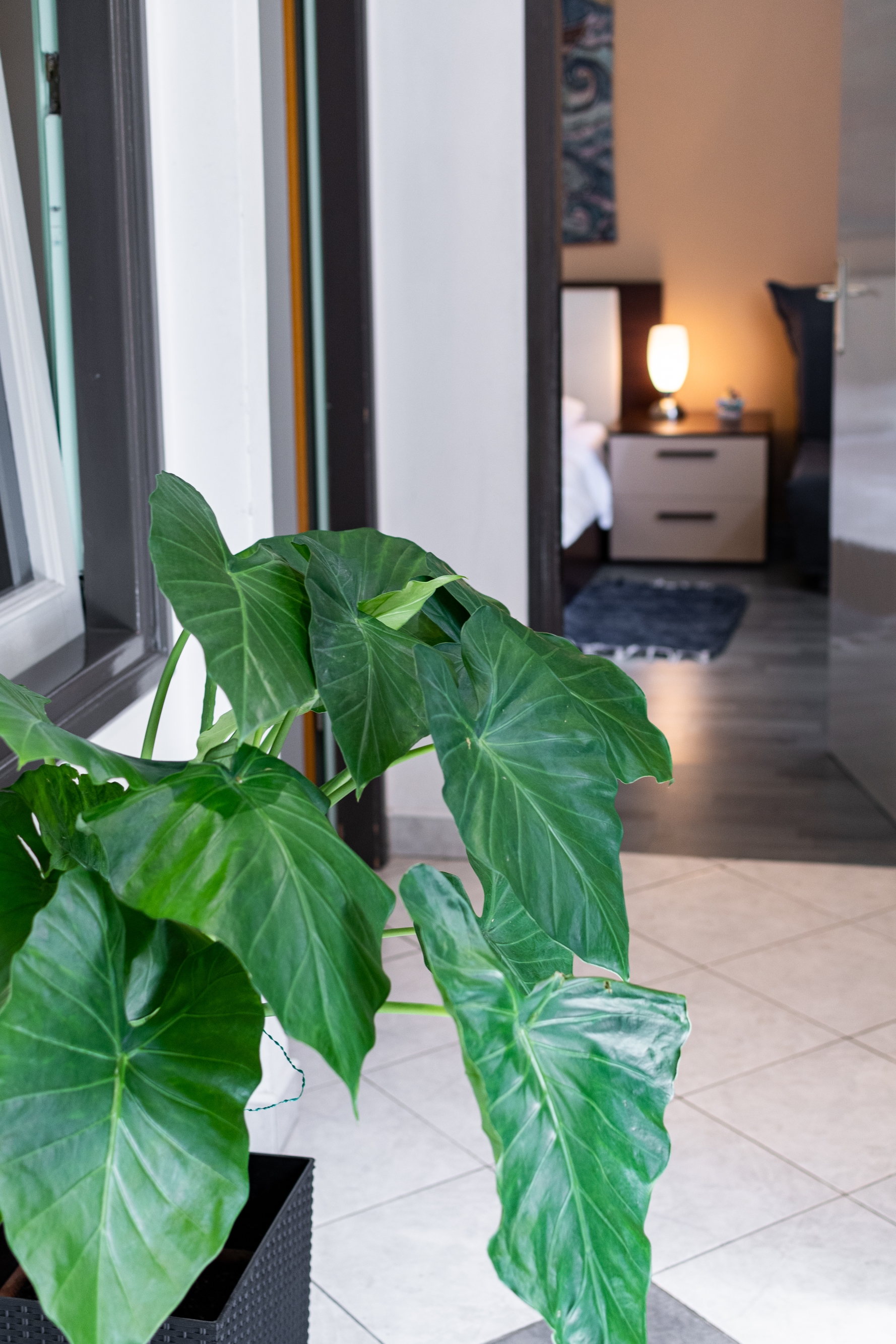 Two bedroom apartment with terrace Rijeka  A-a