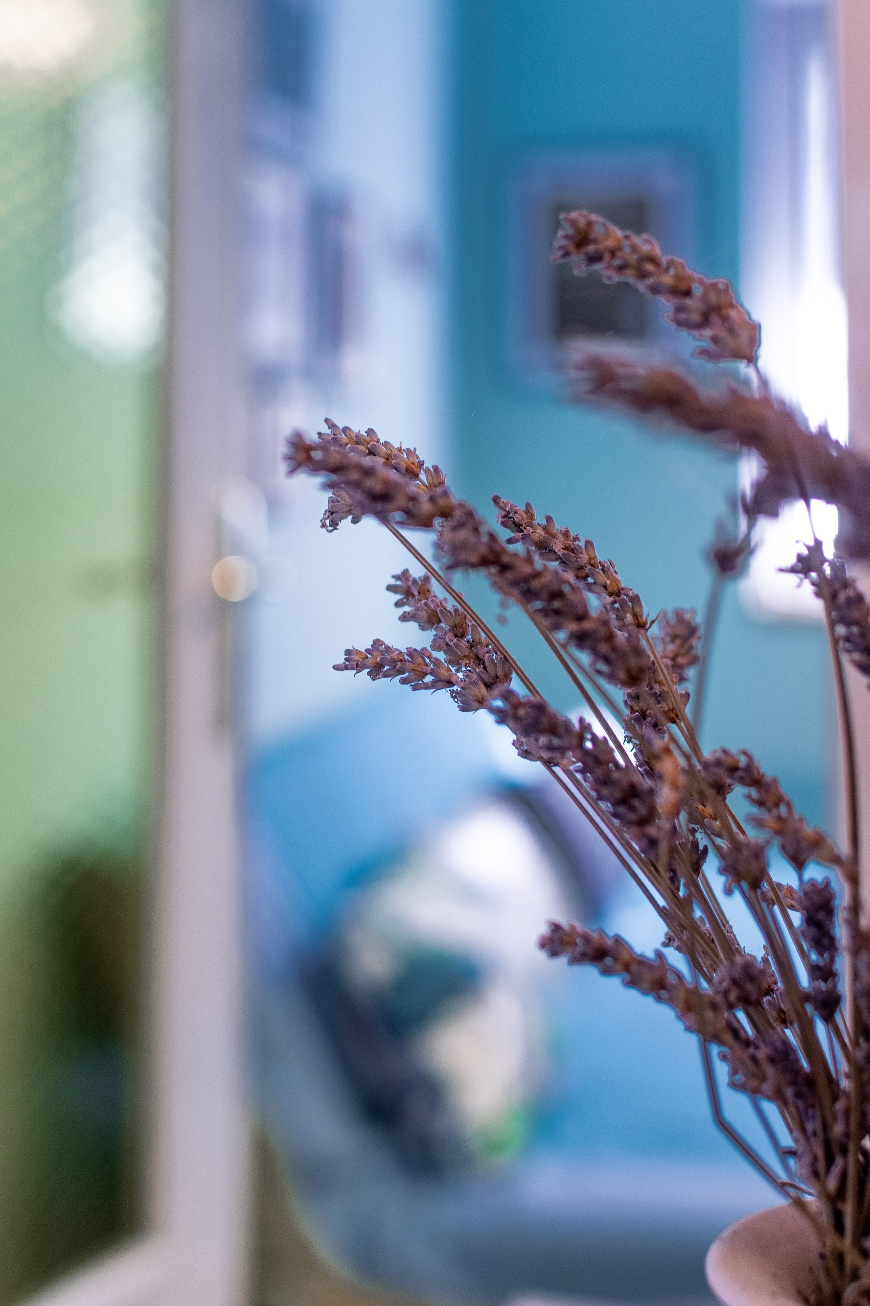 Top Opatija Lovran Top Opatija Lovran