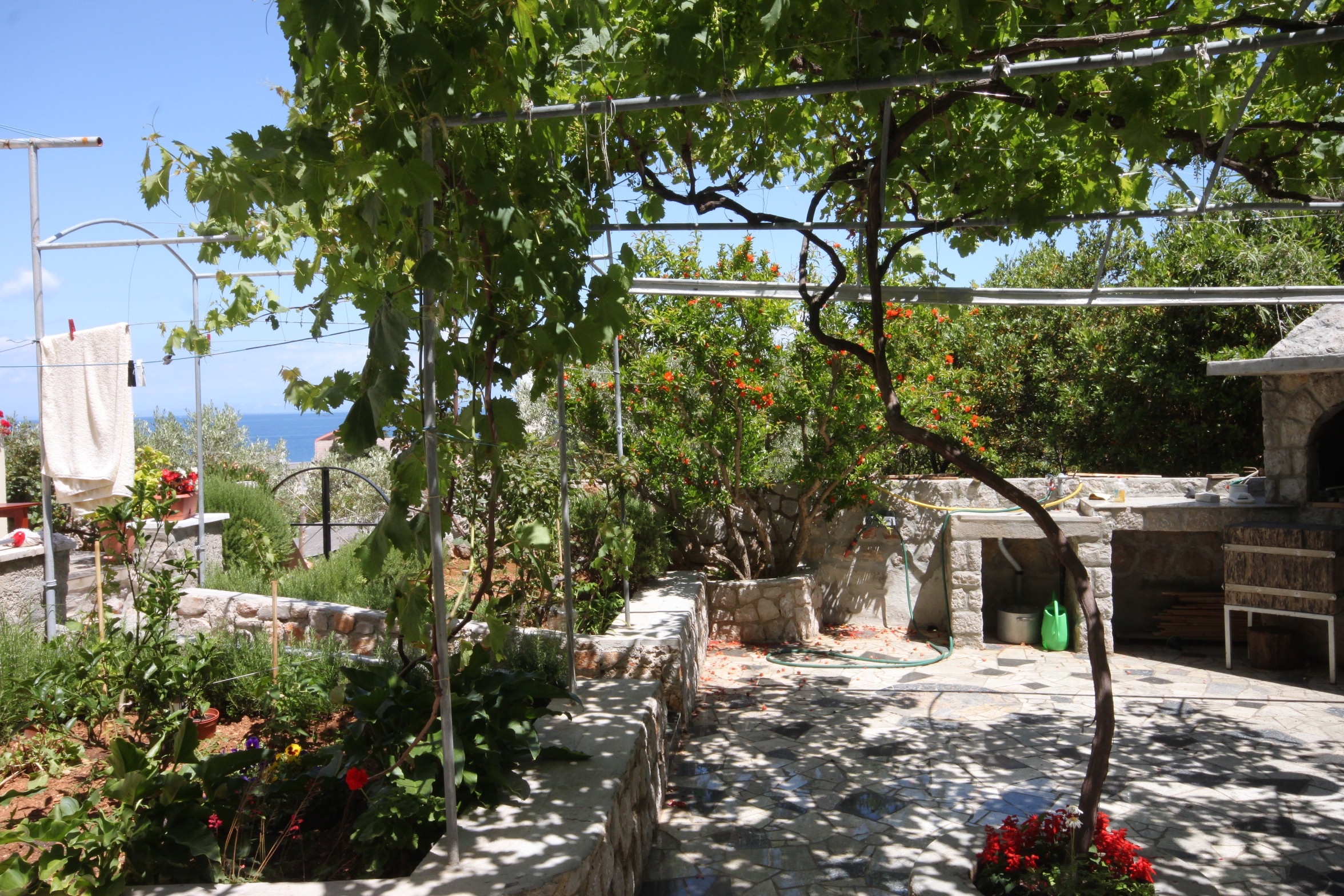 Studio flat with terrace and sea view Mali Lošinj, Lošinj  AS-a