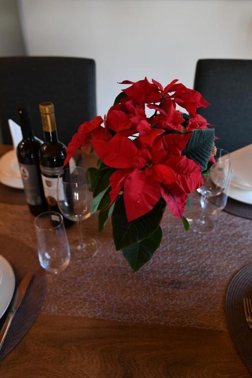 Top Opatija Opatija - Pobri Top Opatija Opatija - Pobri