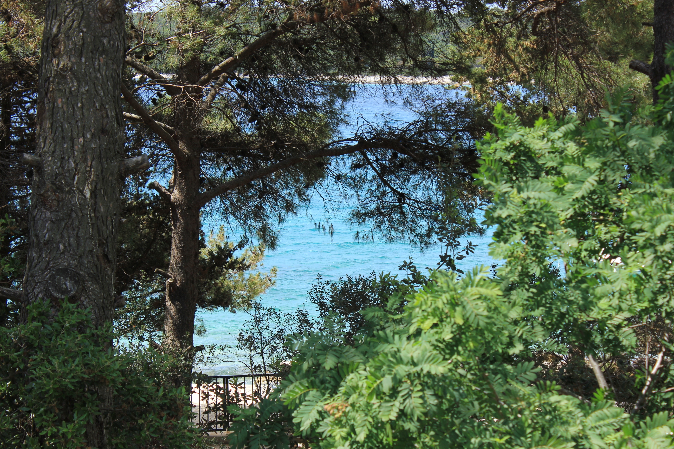 Two bedroom apartment near beach Artatore, Lošinj  A-a
