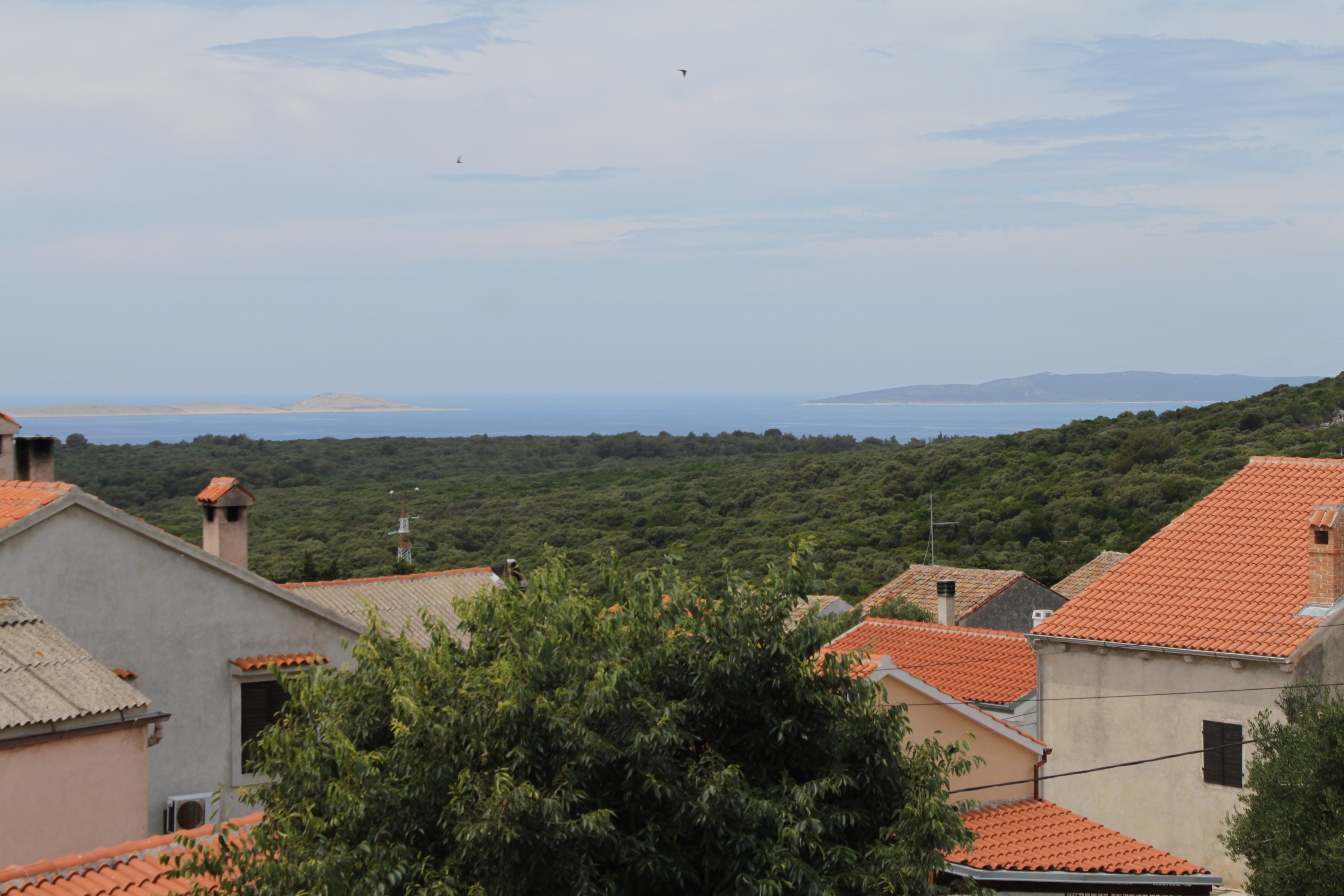 Studio flat with terrace and sea view Ćunski, Lošinj  AS-a