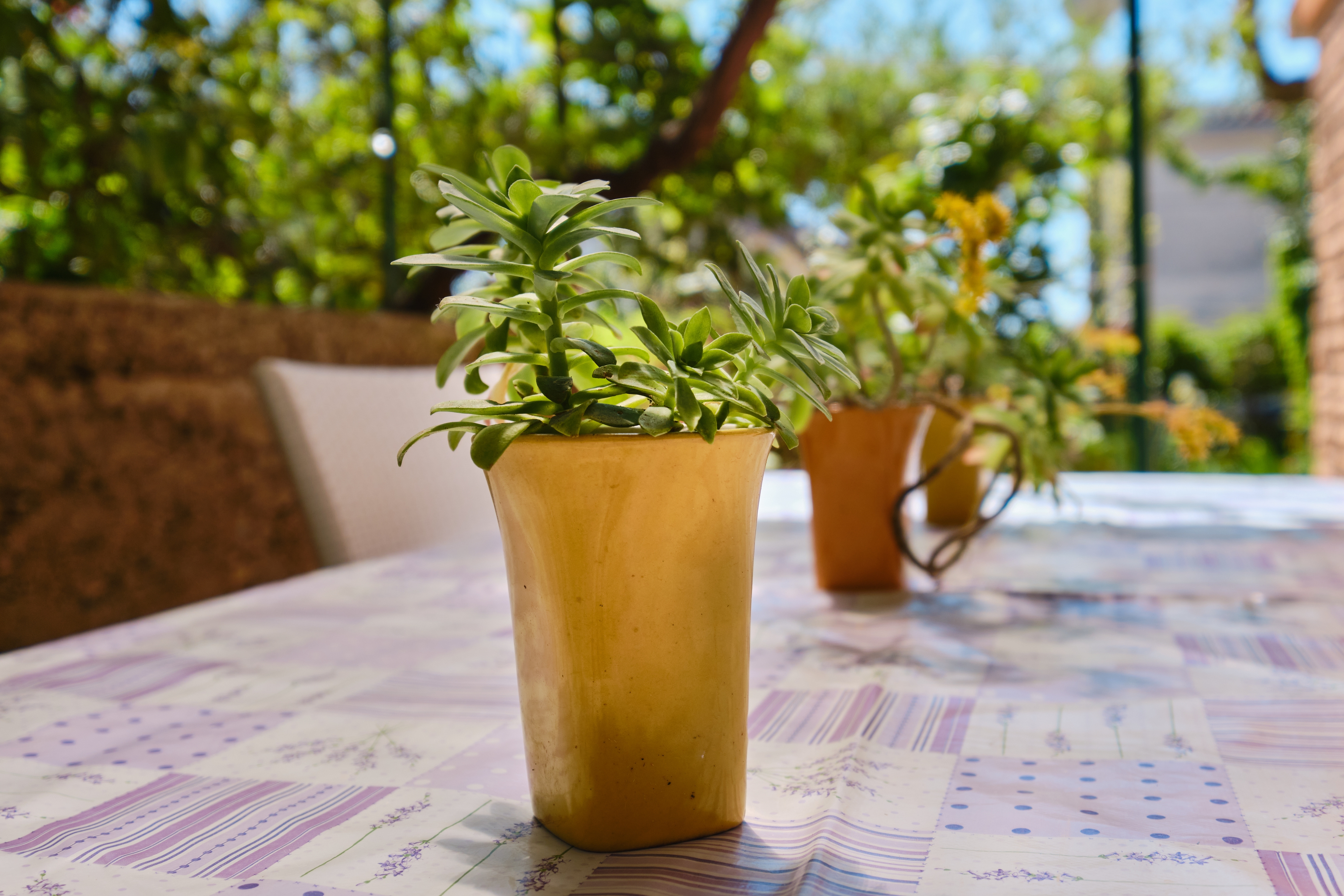 Two bedroom apartment with terrace Mali Lošinj, Lošinj  A-a
