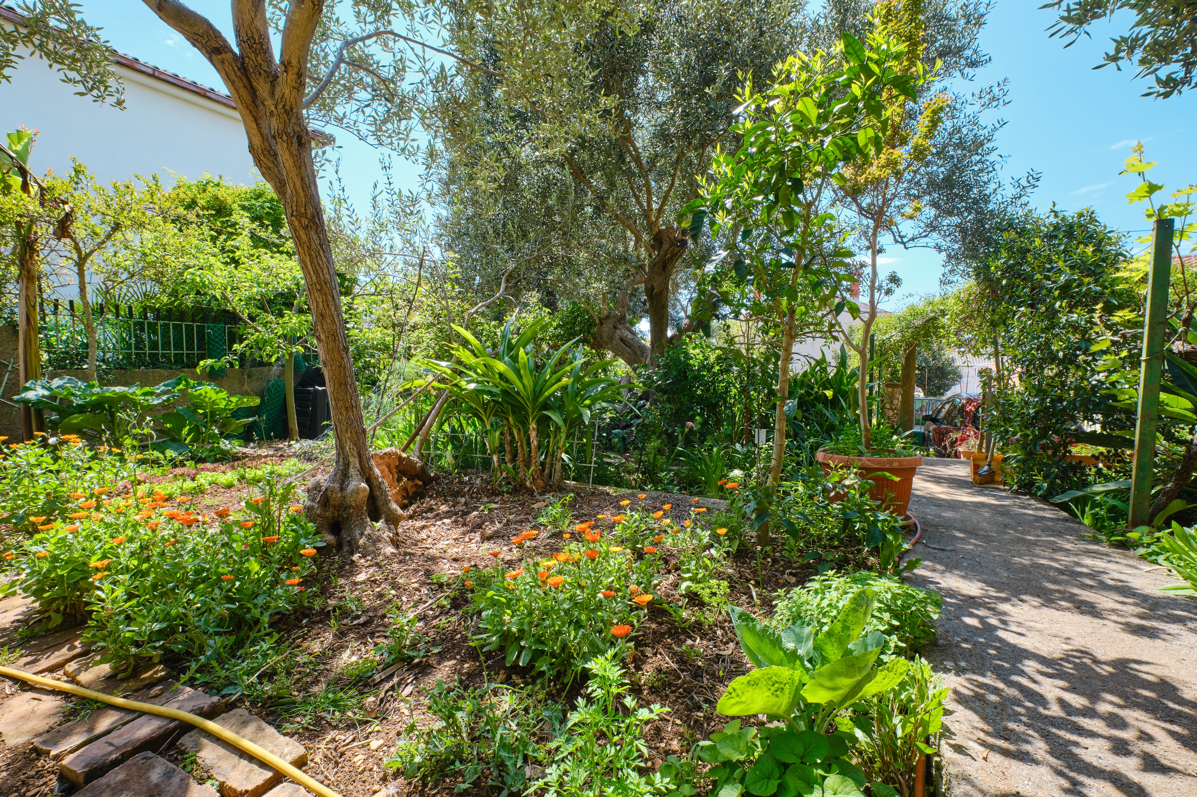 Two bedroom apartment with terrace Mali Lošinj, Lošinj  A-a